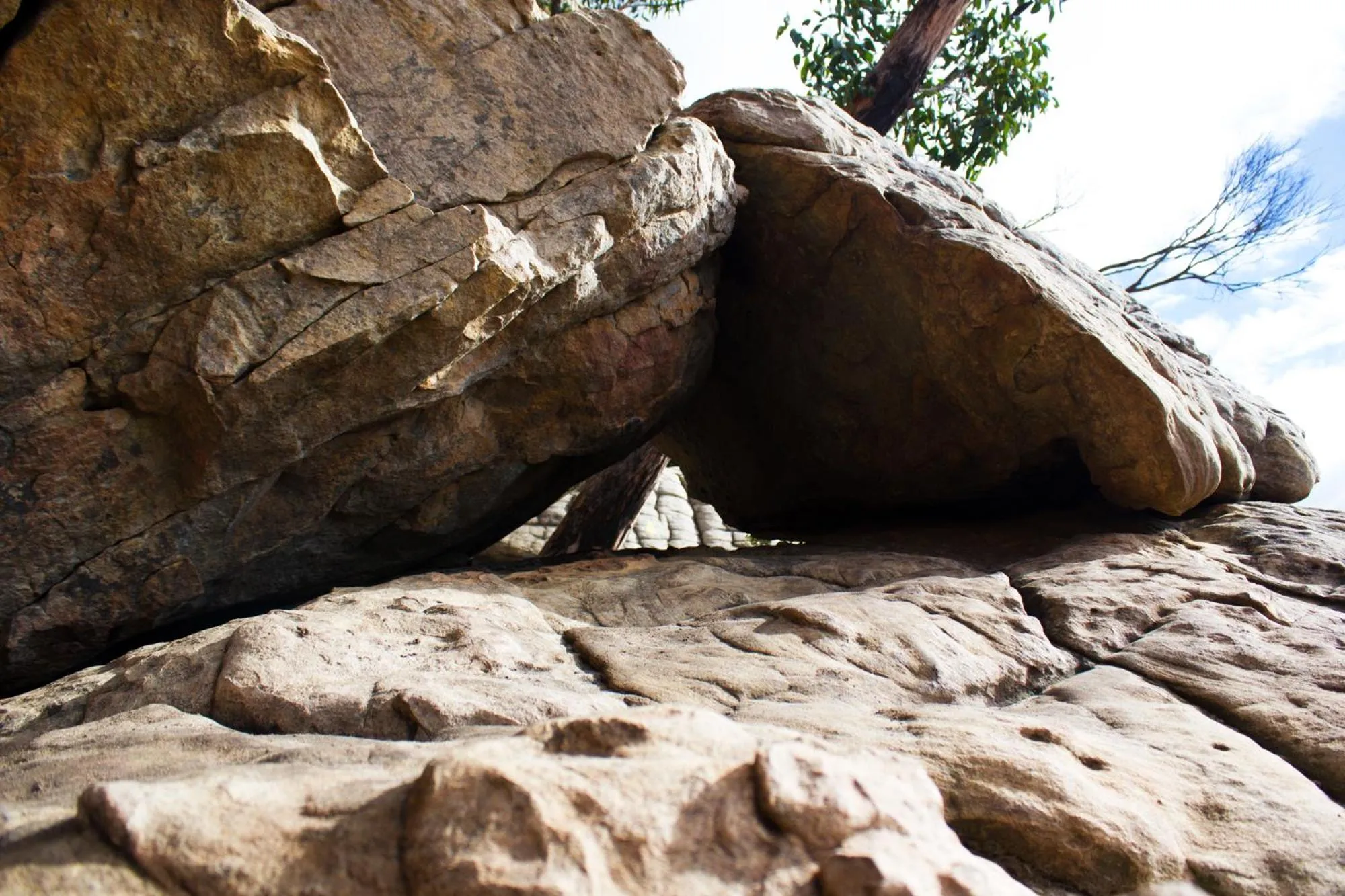 Natural landscape in Marwood Villas