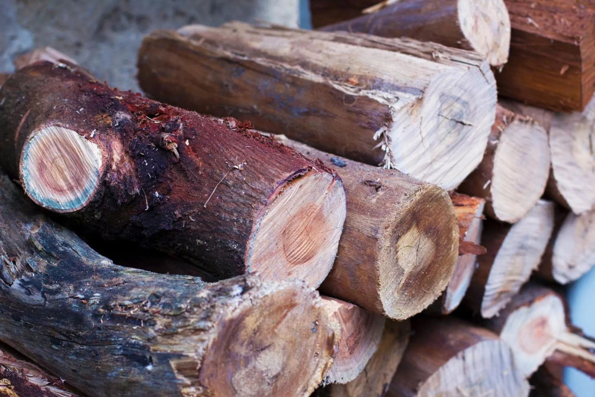 Decorative detail in Marwood Villas