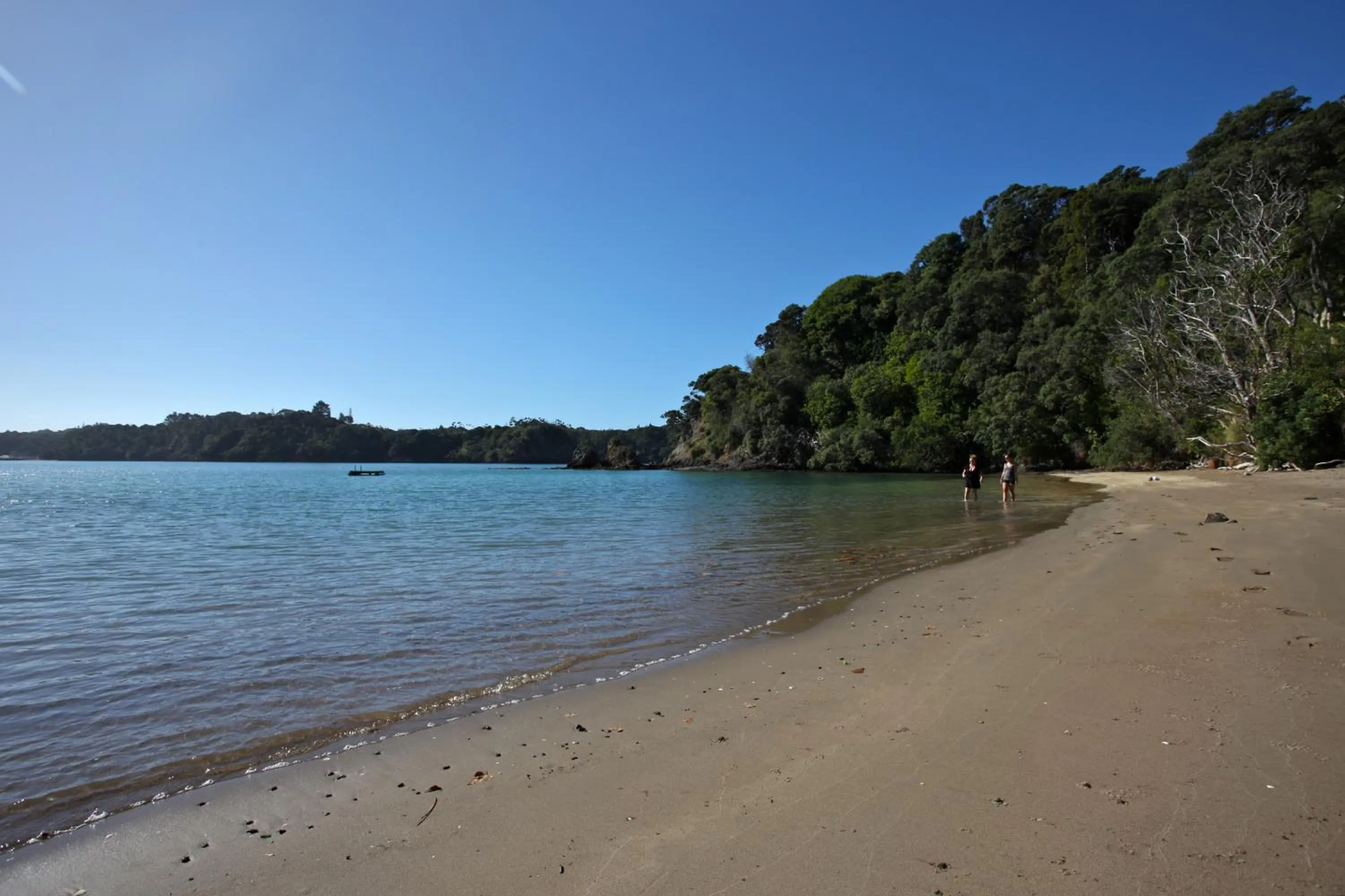 Beach in Pacific Rendezvous Resort