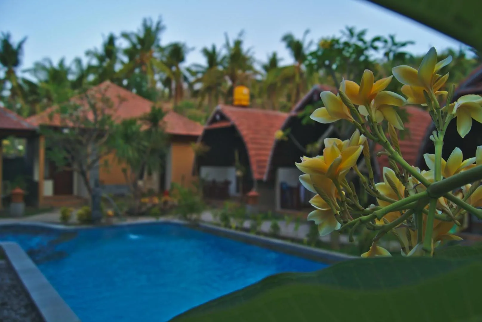 Swimming pool in GHamed Sari