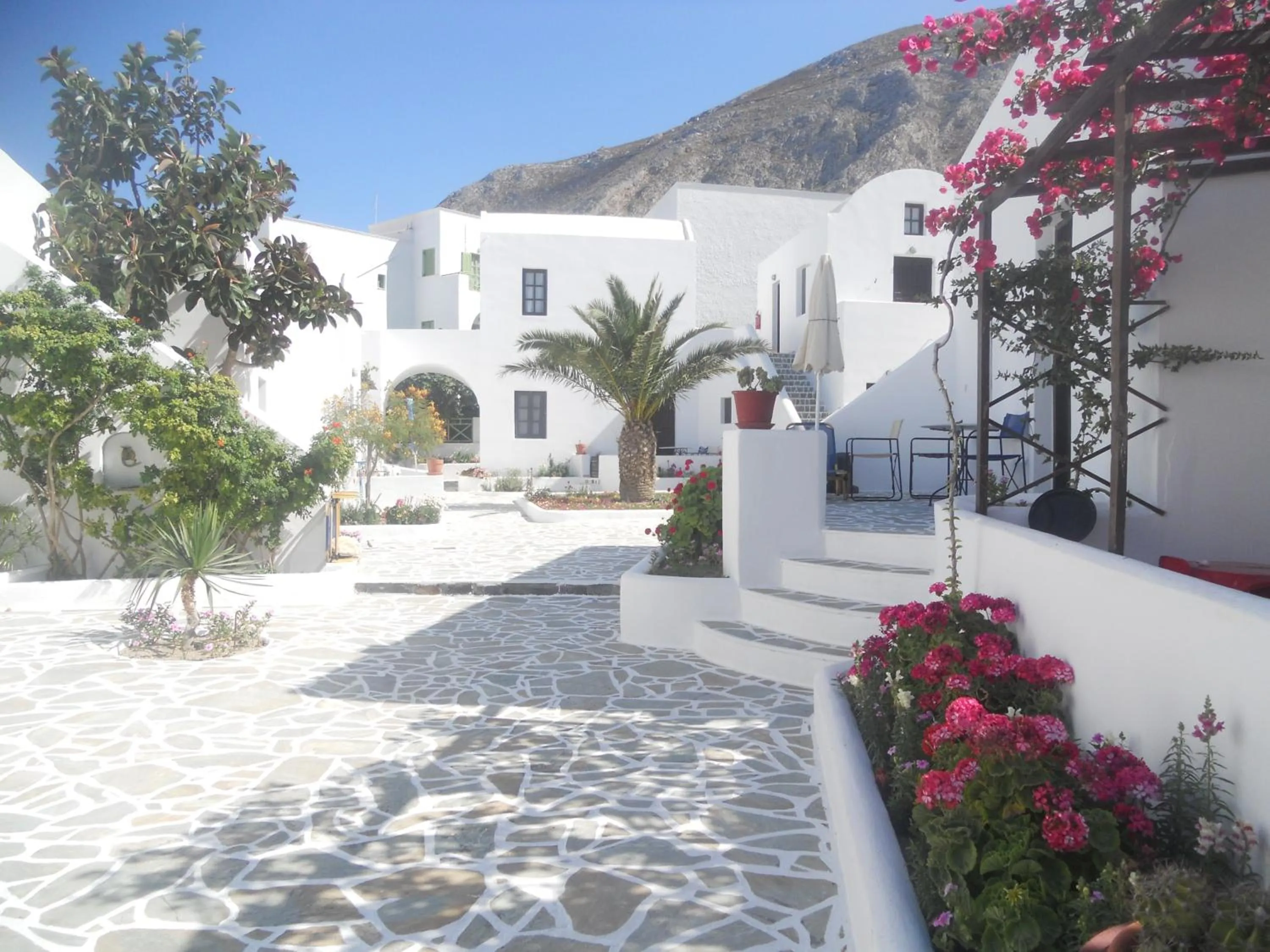 Garden in Villa Ostria