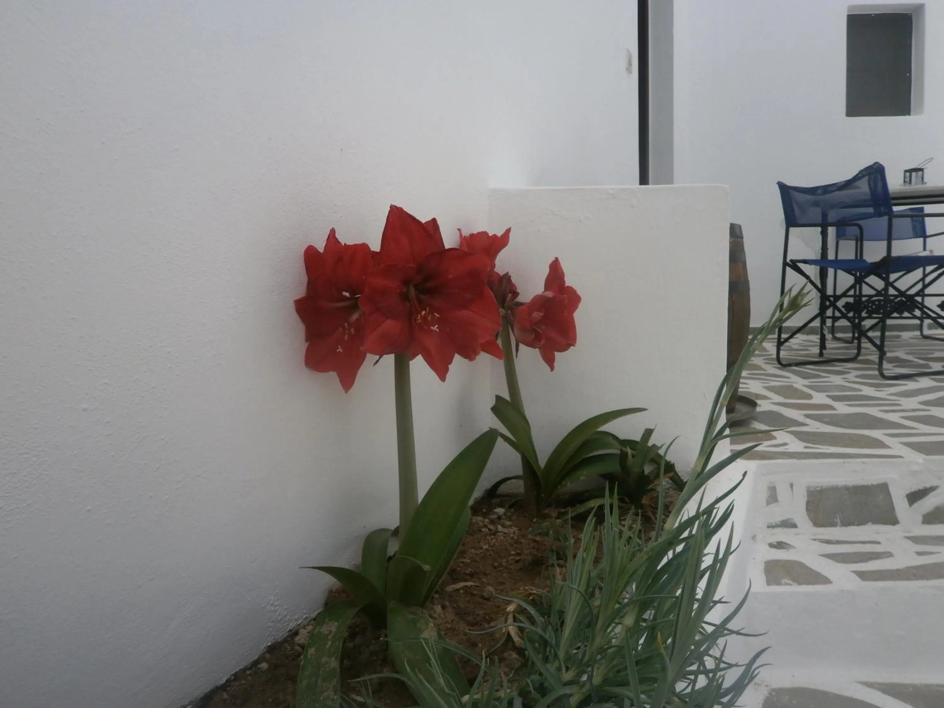 Patio in Villa Ostria