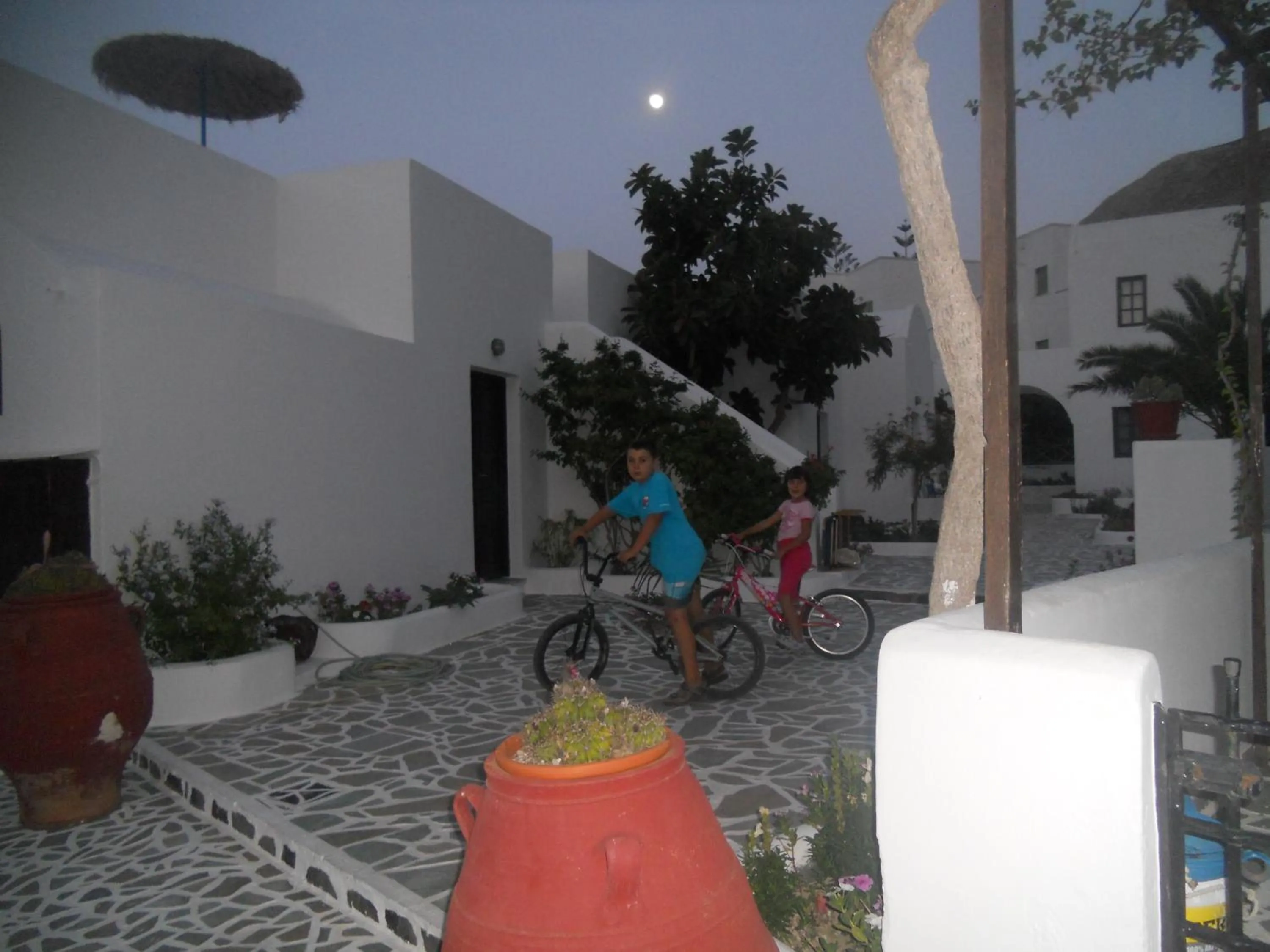 Garden in Villa Ostria