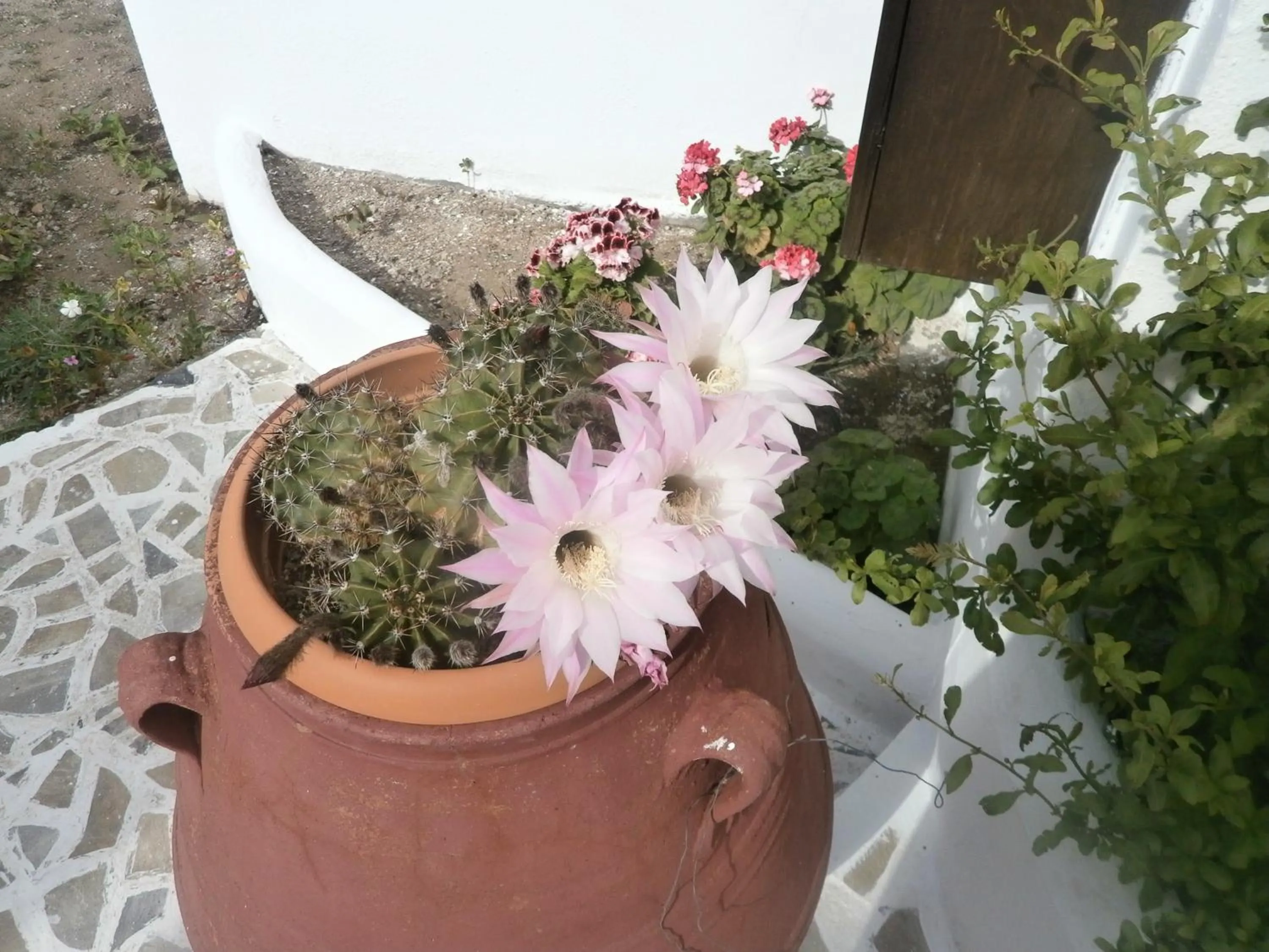 Other in Villa Ostria