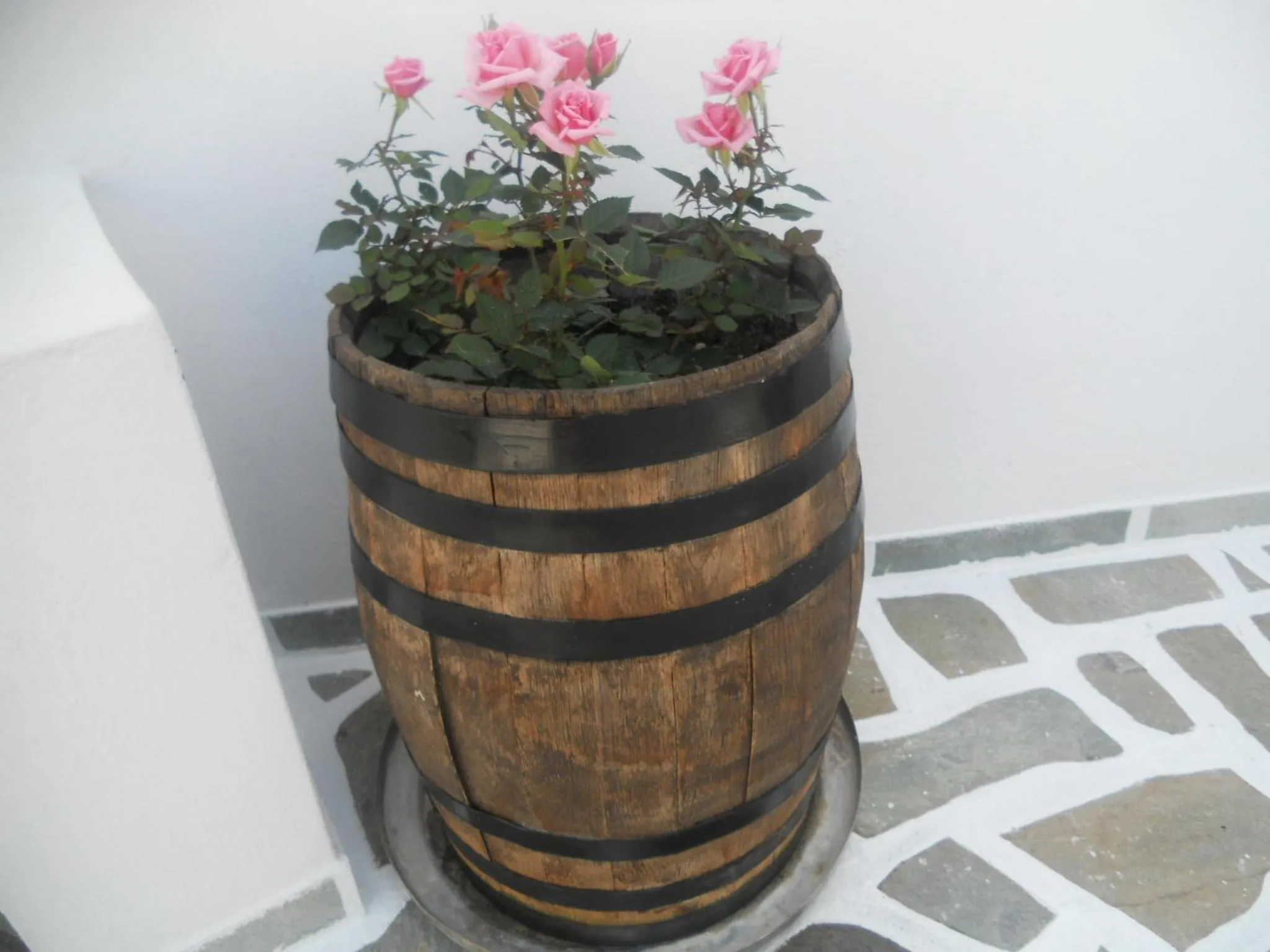 Decorative detail in Villa Ostria