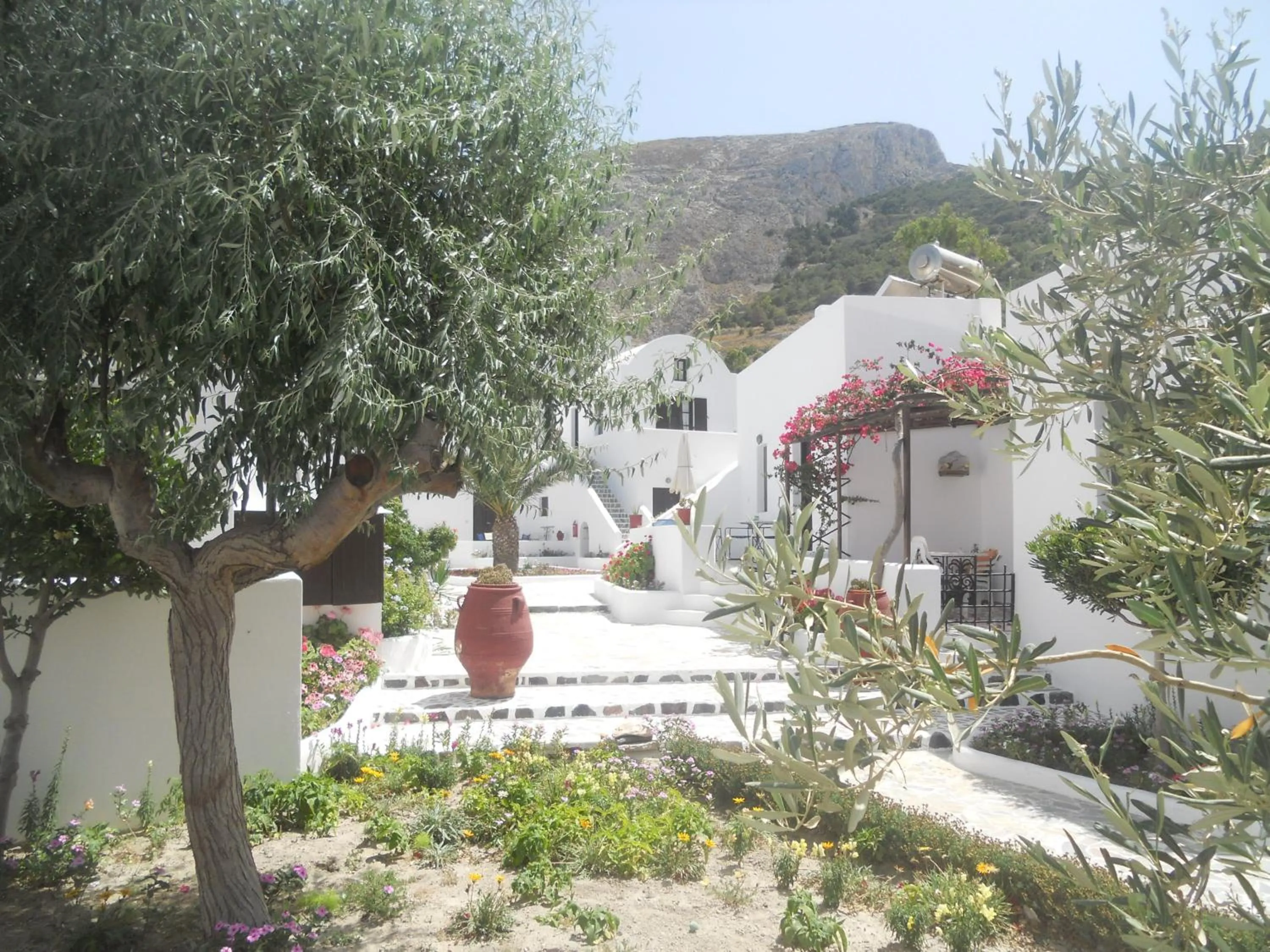 Garden in Villa Ostria