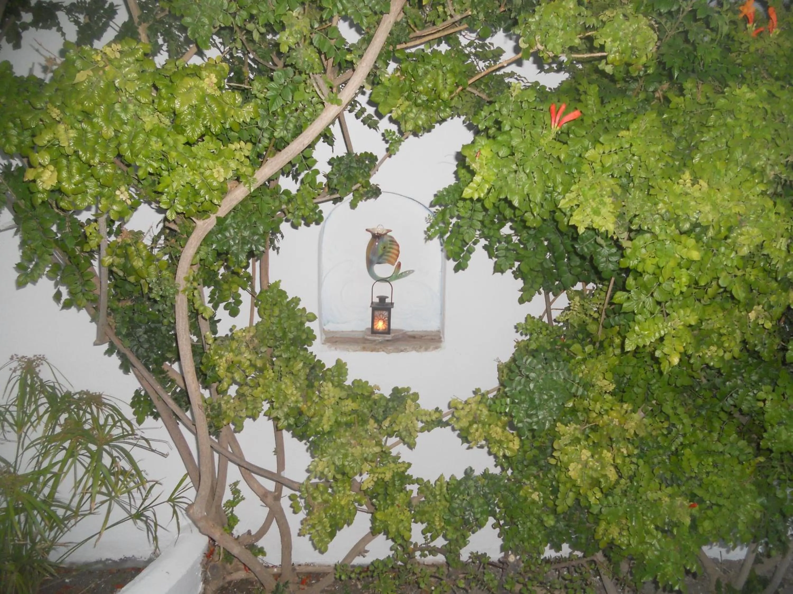 Garden in Villa Ostria