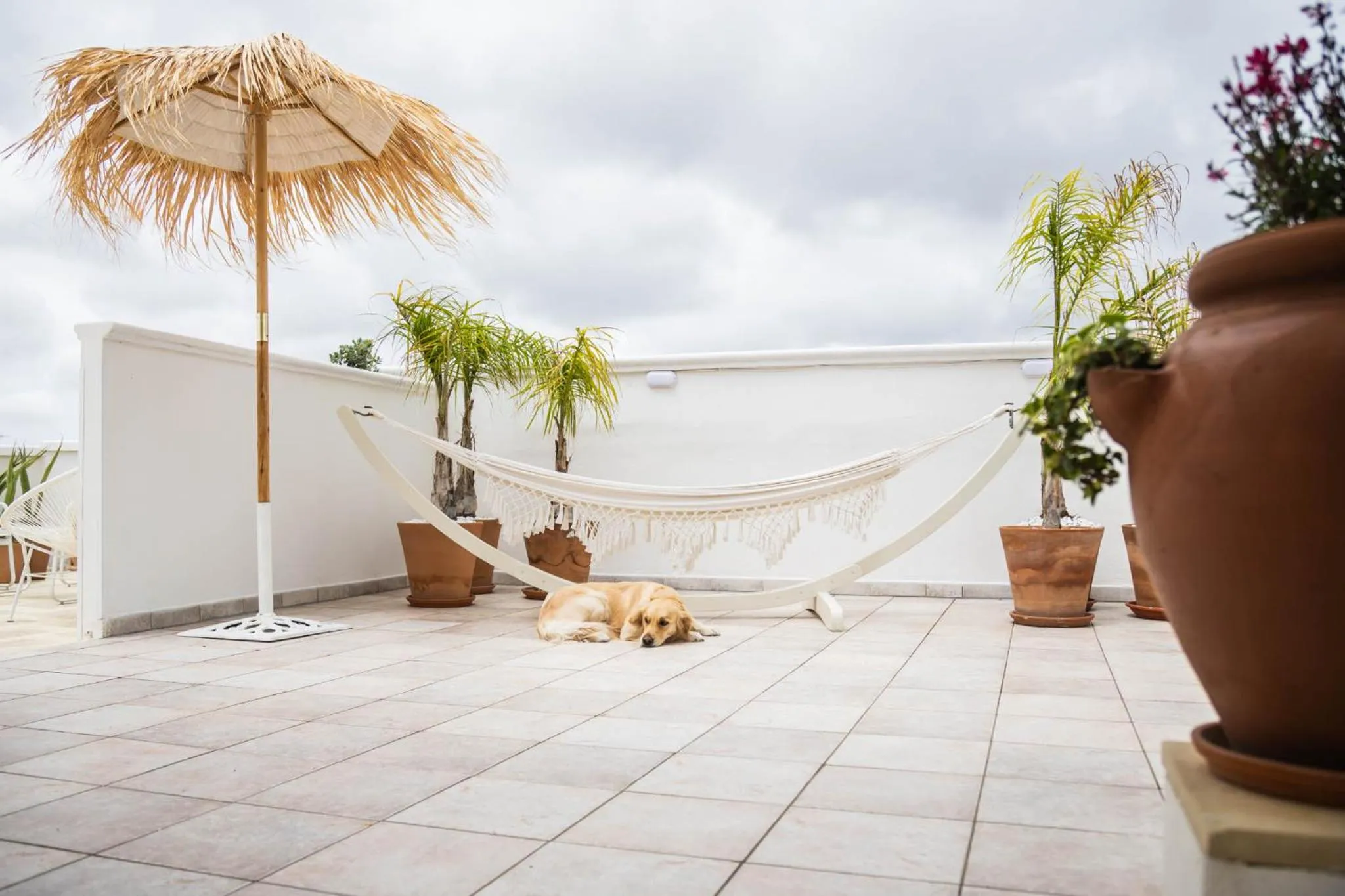 View (from property/room) in Sea Suites