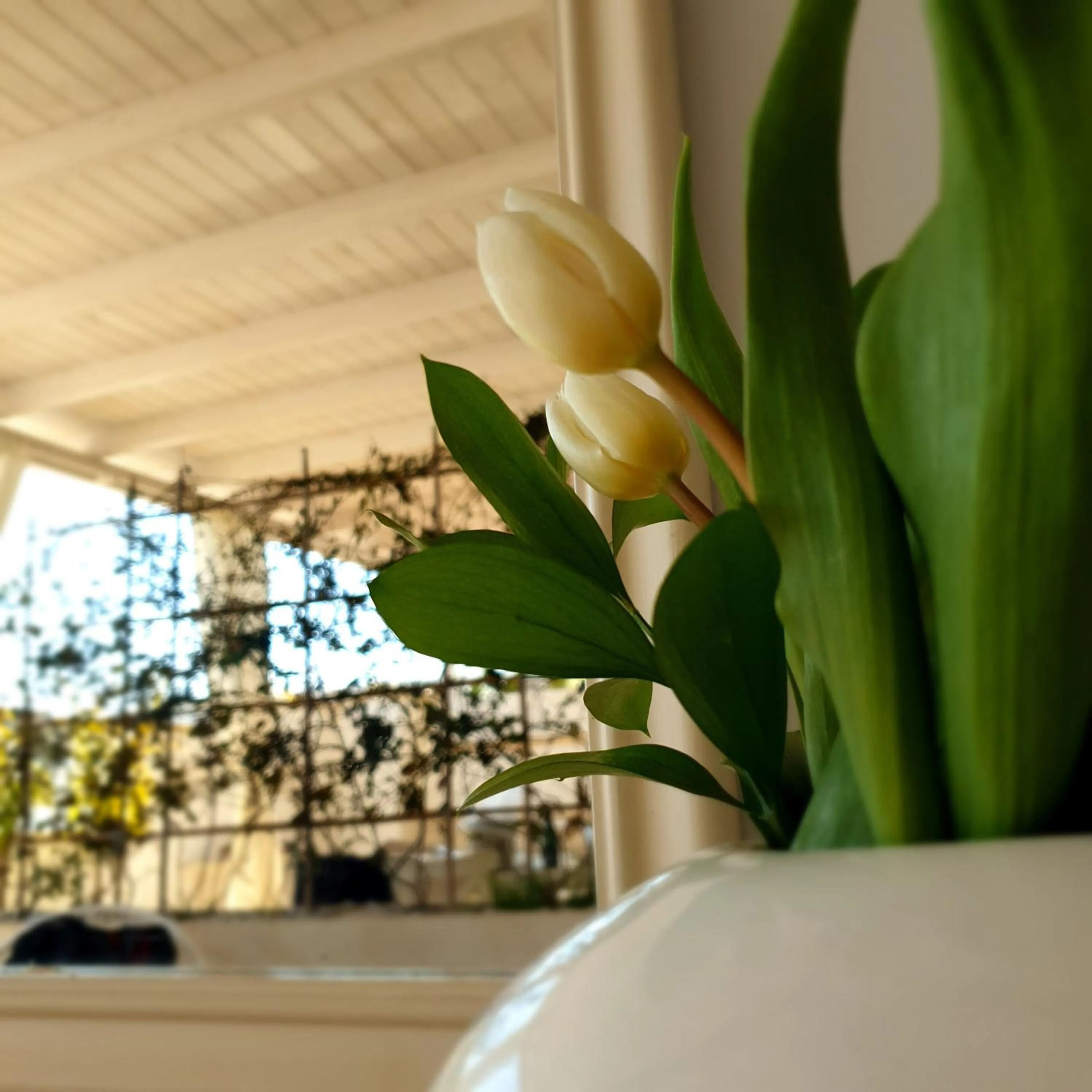 Balcony/Terrace in Sea Suites