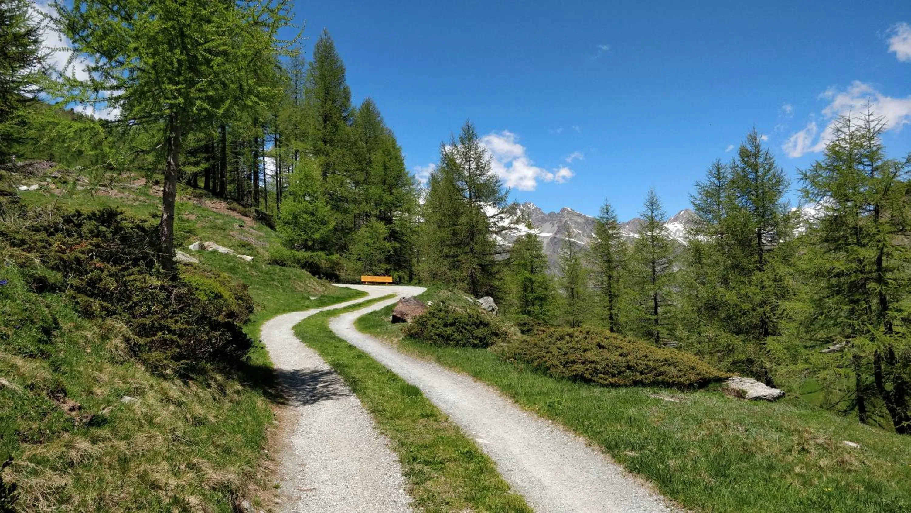 Neighbourhood in Hotel Fex