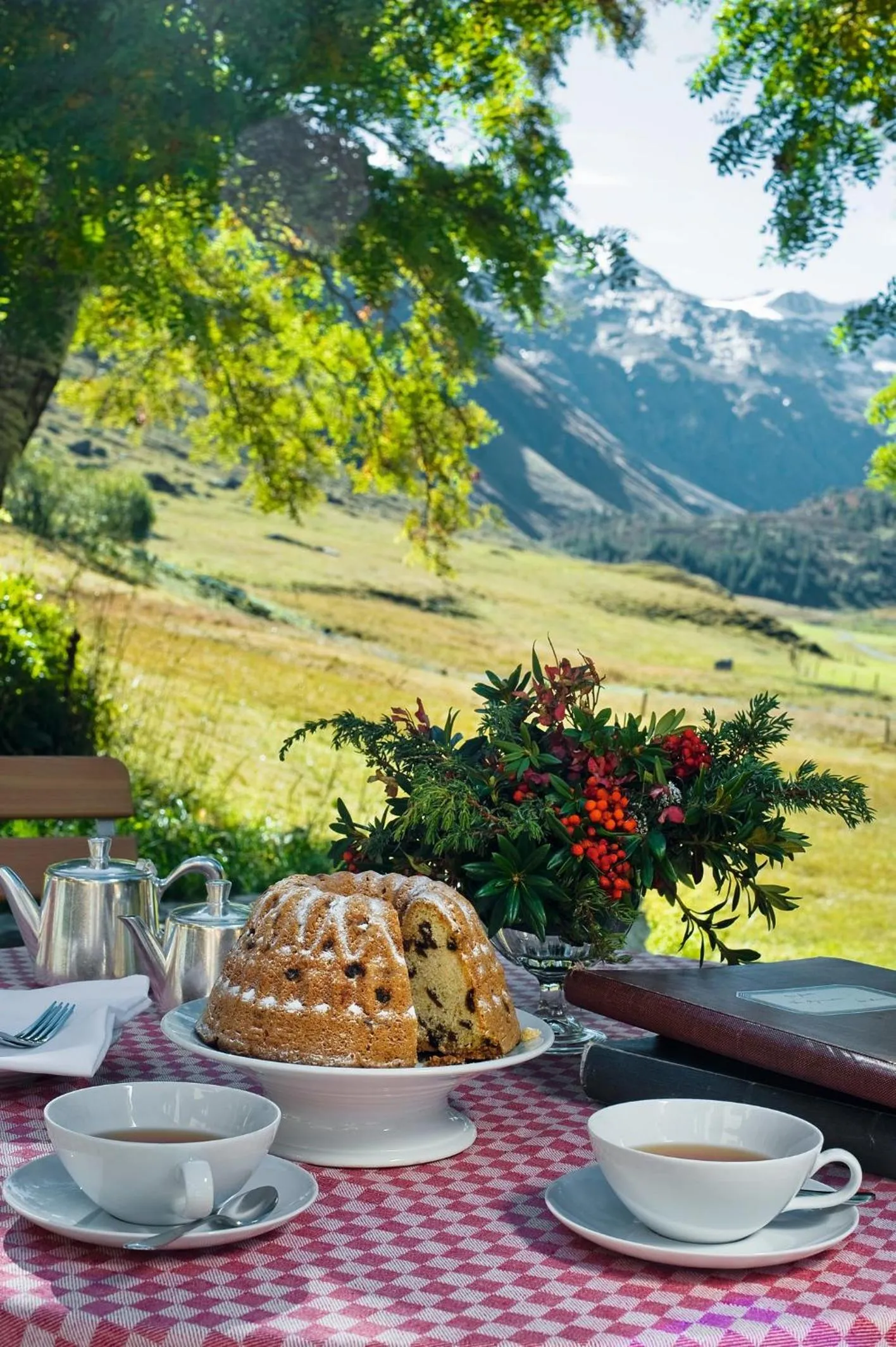 Natural landscape in Hotel Fex