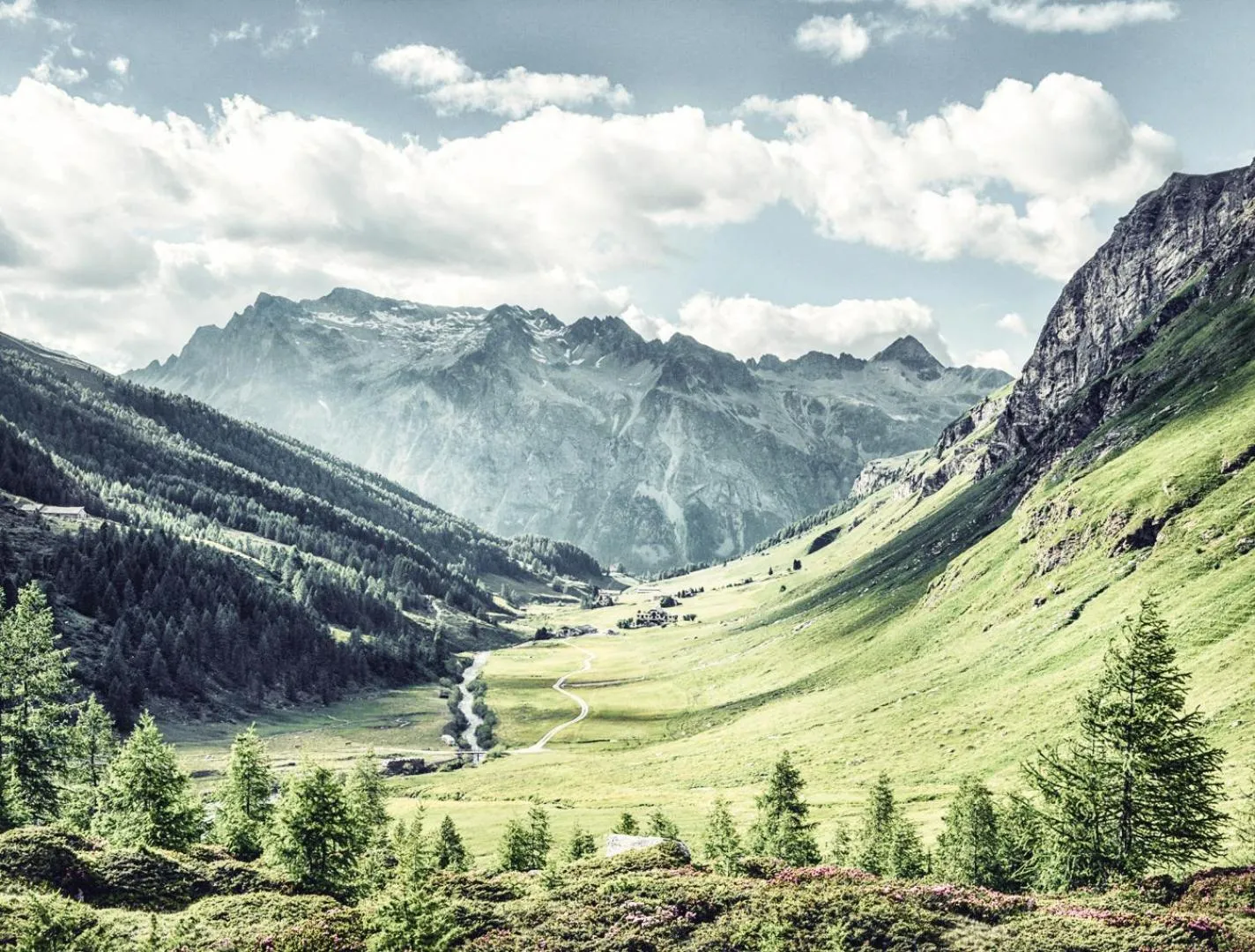 Natural landscape in Hotel Fex