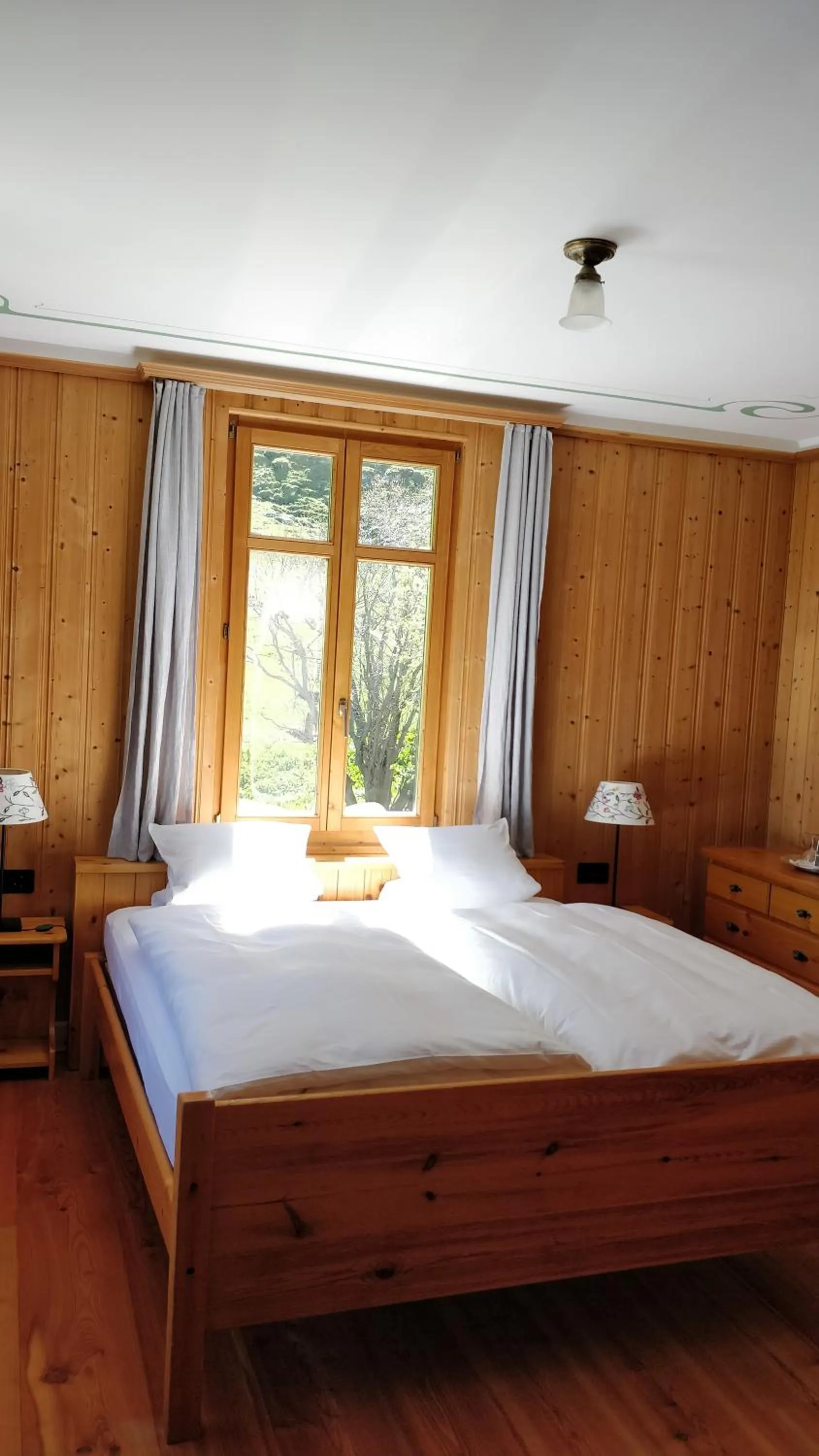 Mountain view in Hotel Fex