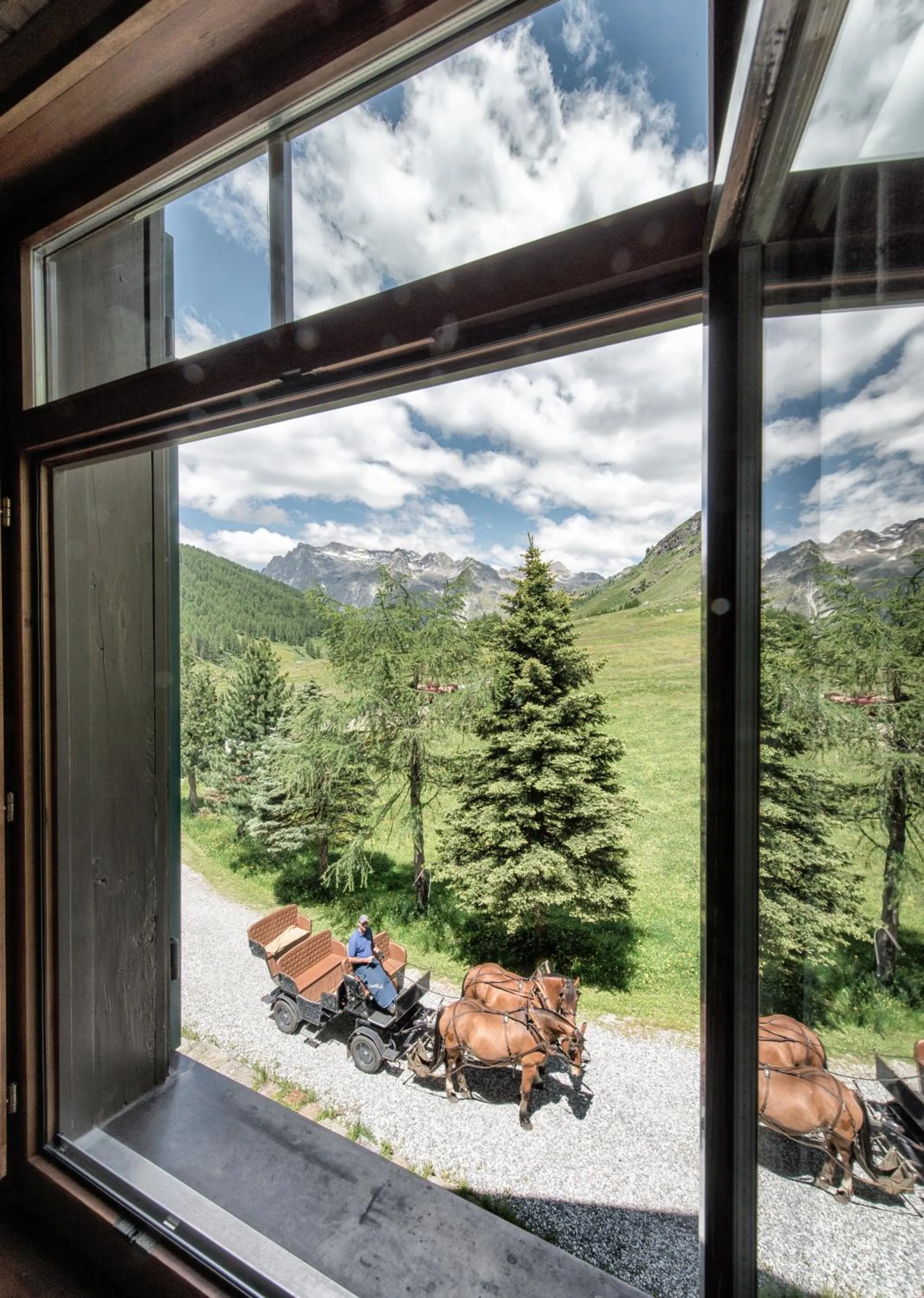 Natural landscape in Hotel Fex