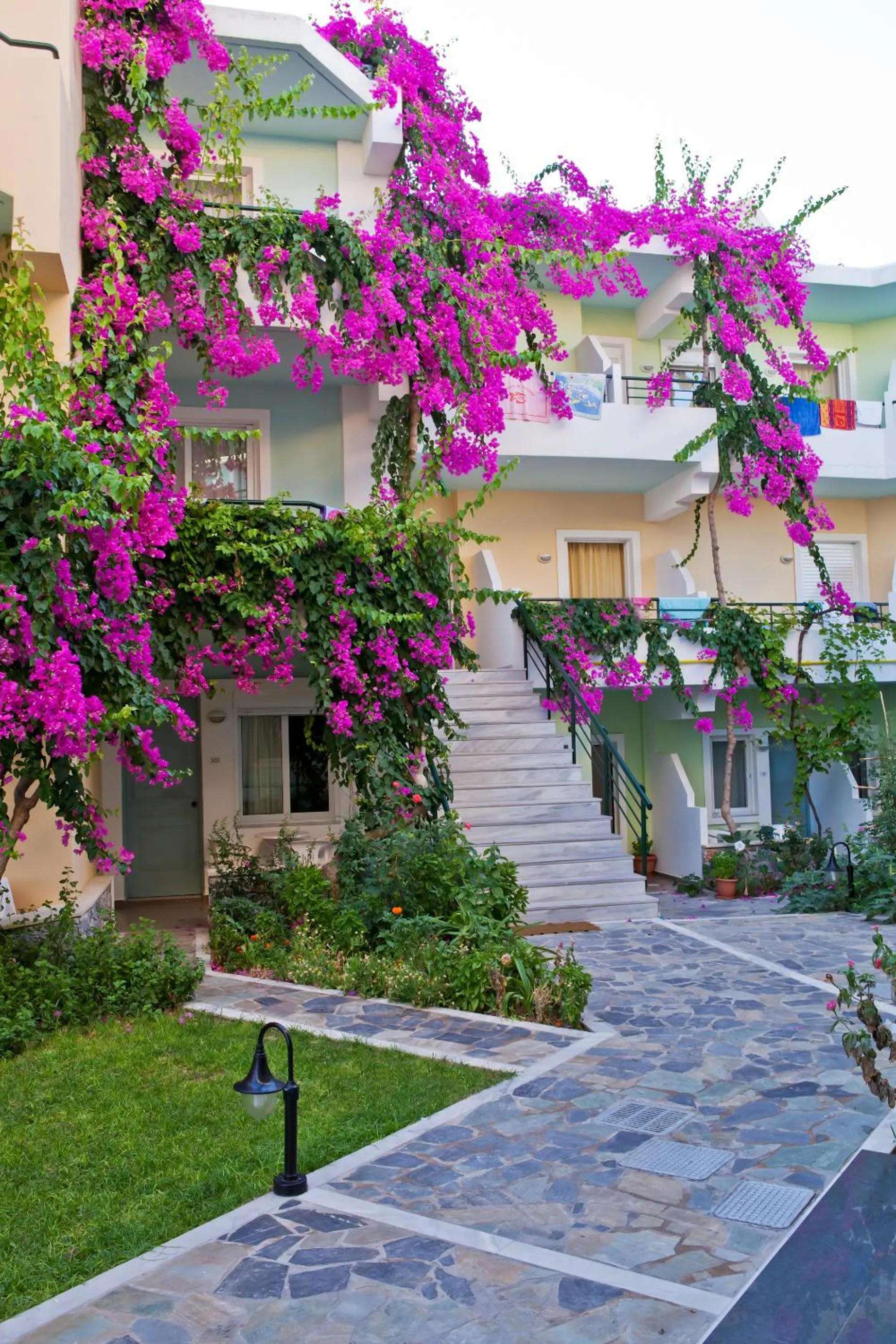 Garden in Dedalos Beach Hotel