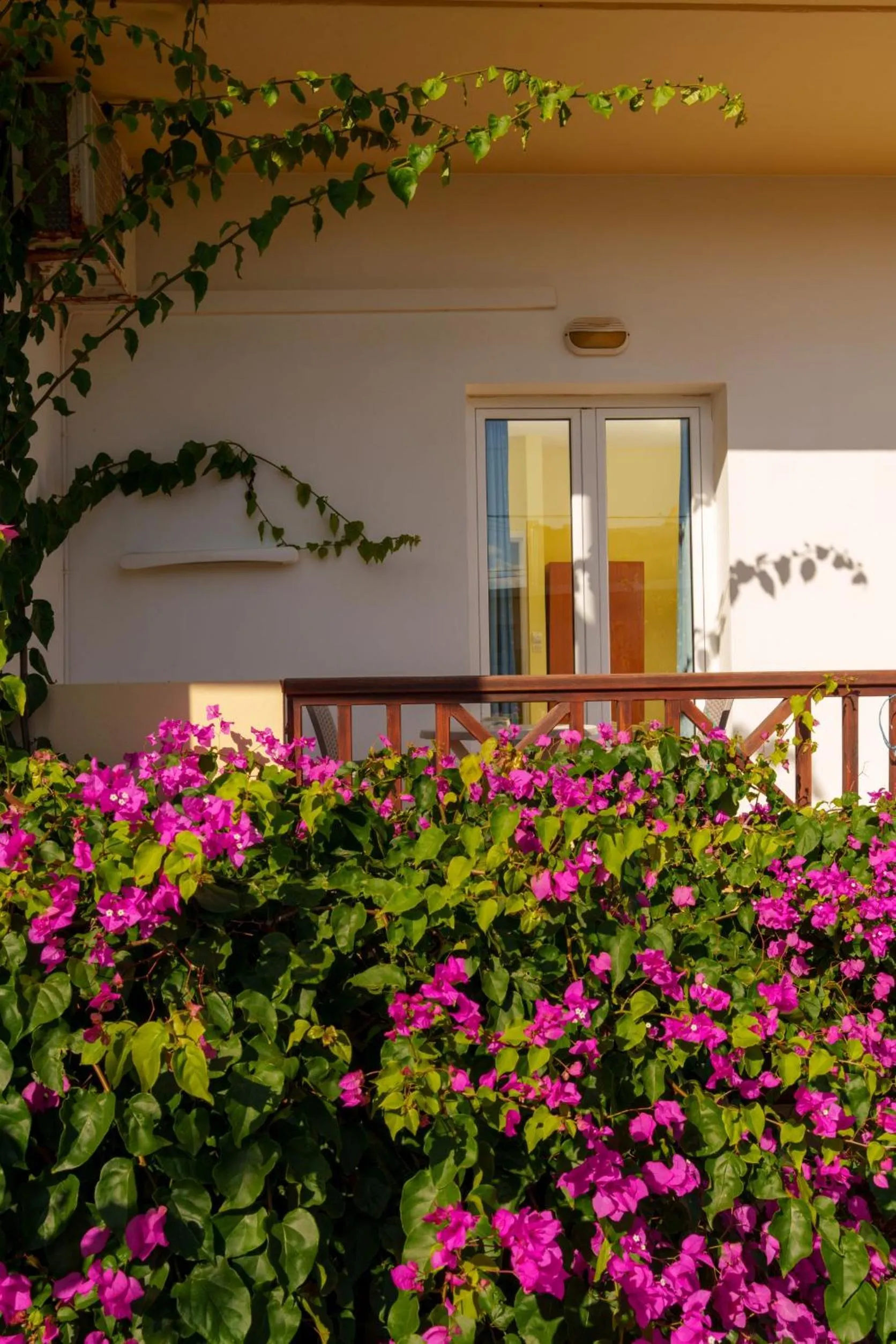 Garden in Dedalos Beach Hotel