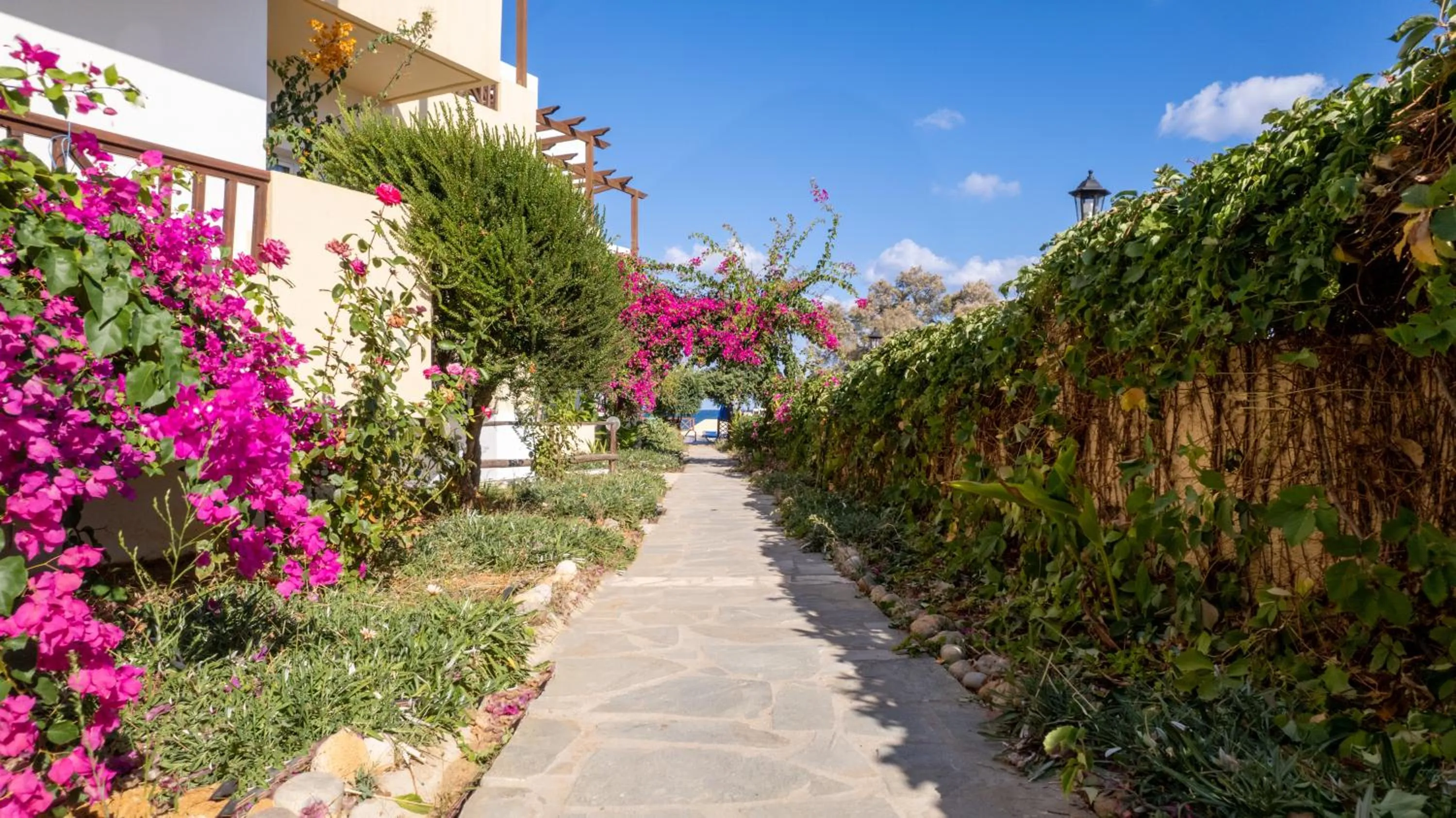 Garden in Dedalos Beach Hotel