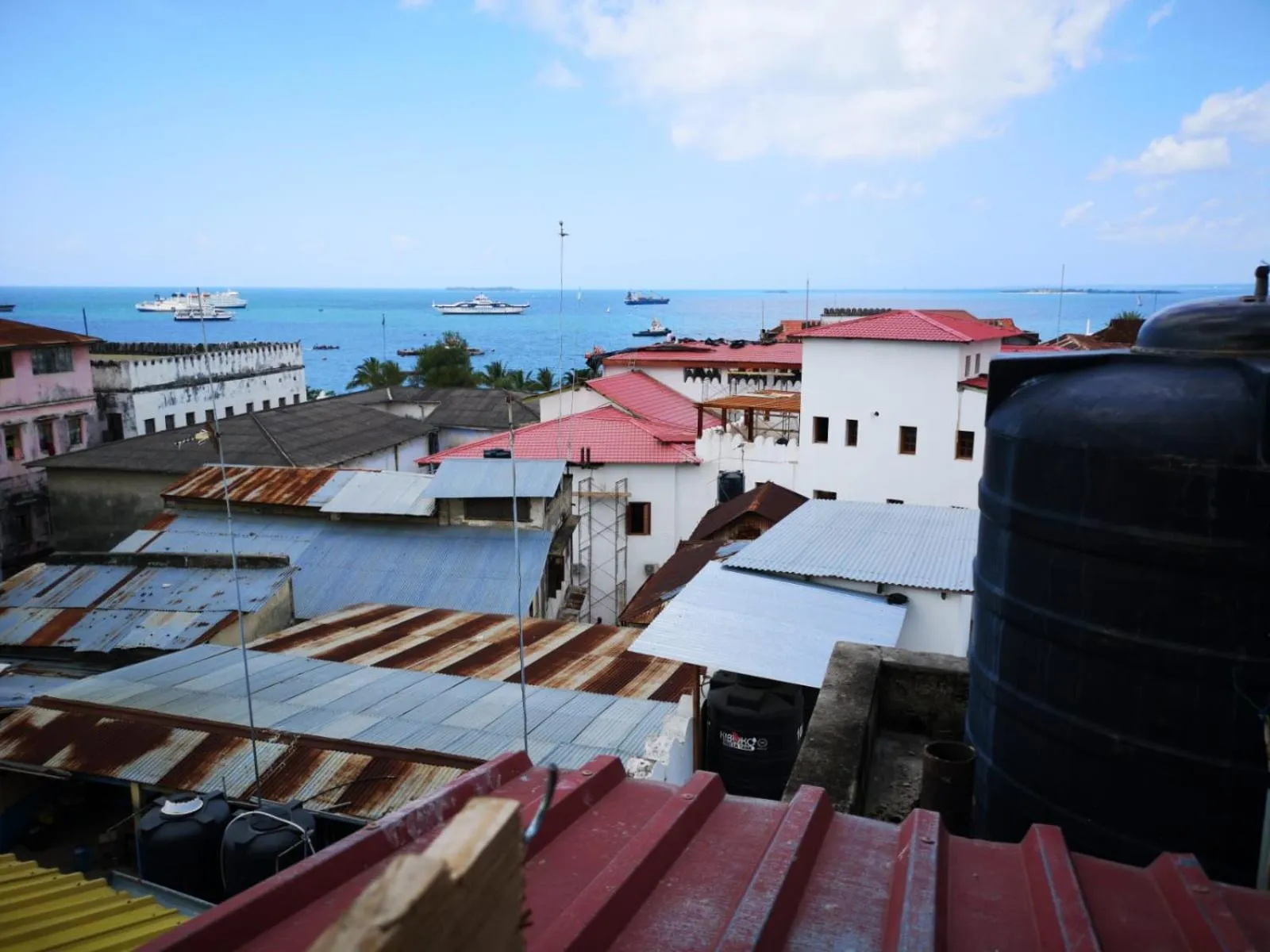 City view in Bottoms Up