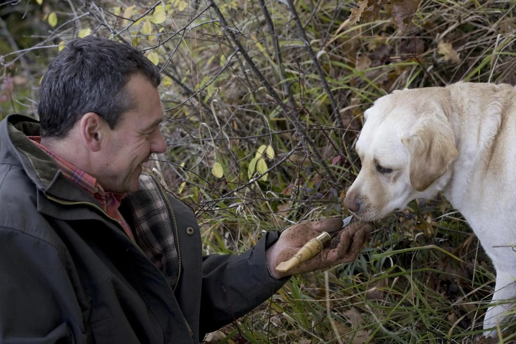 Domaine De La Combotte