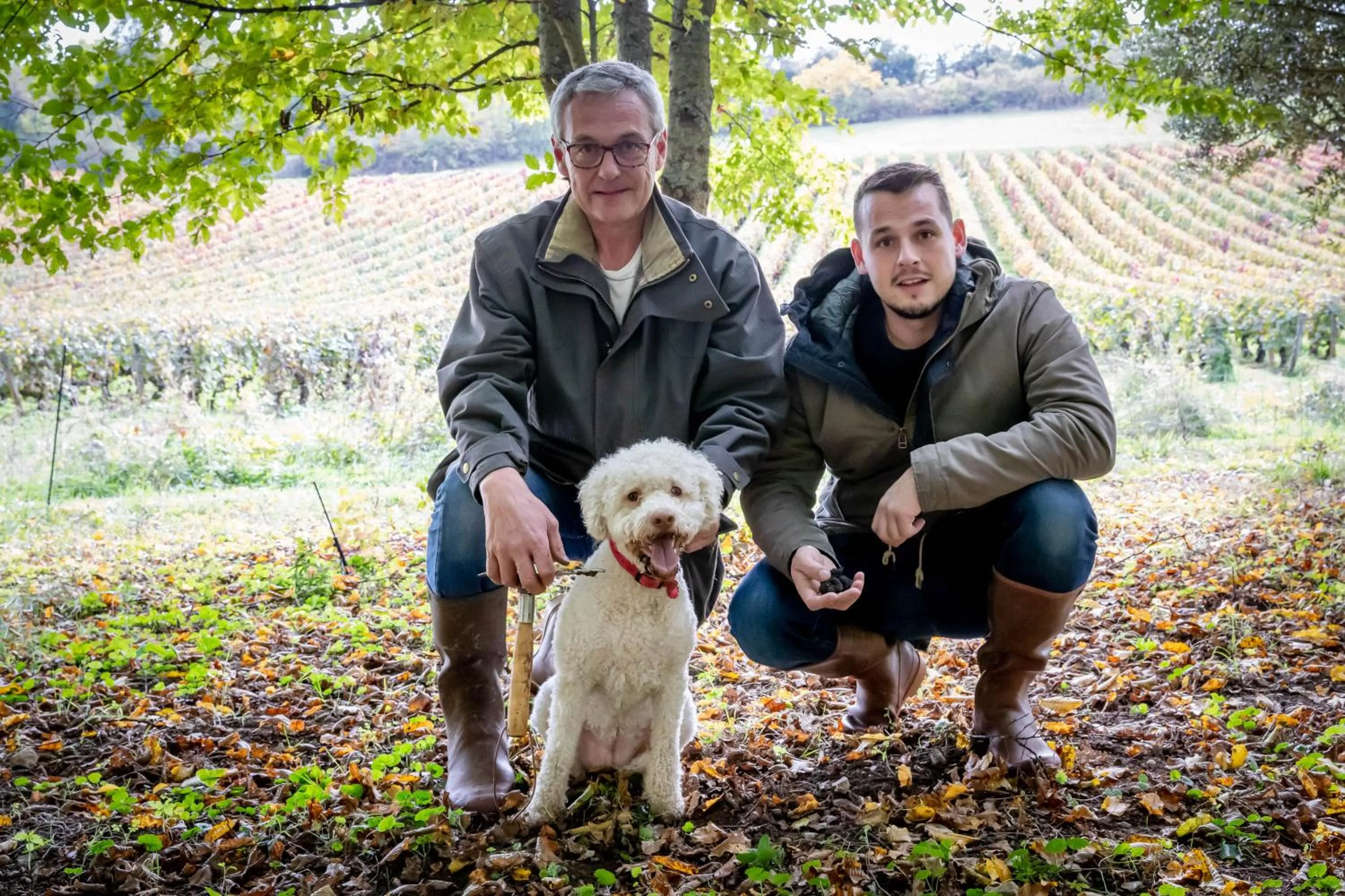 Domaine De La Combotte