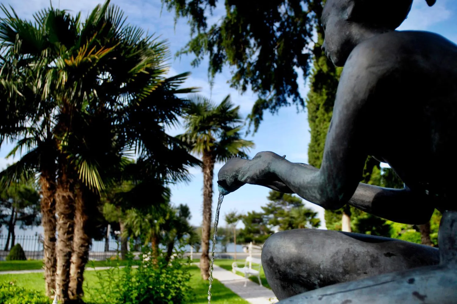 Garden in Hotel Marko