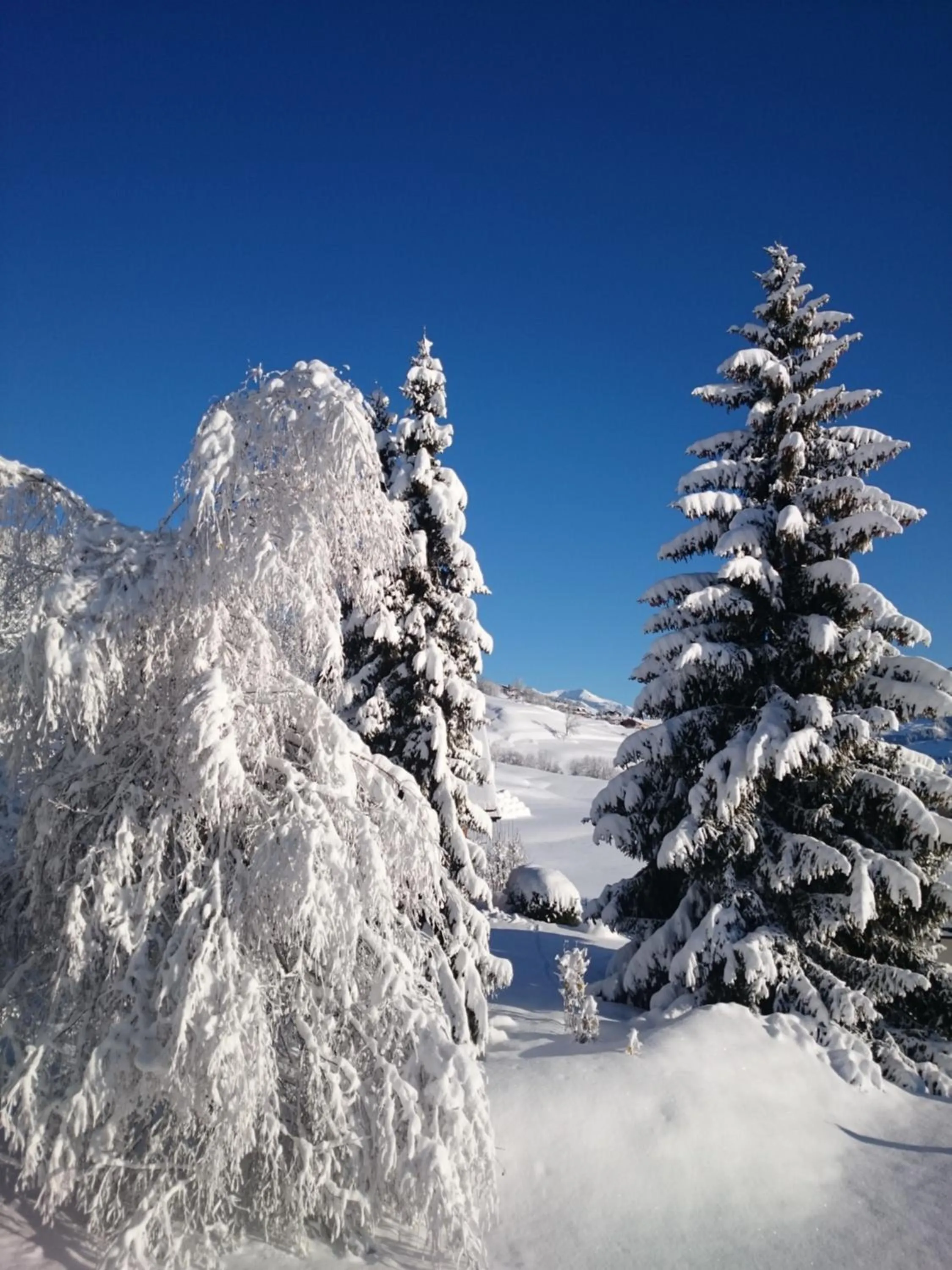 Natural landscape in Hotel Gravas Lodge - Das Hotel für Gäste mit Hund