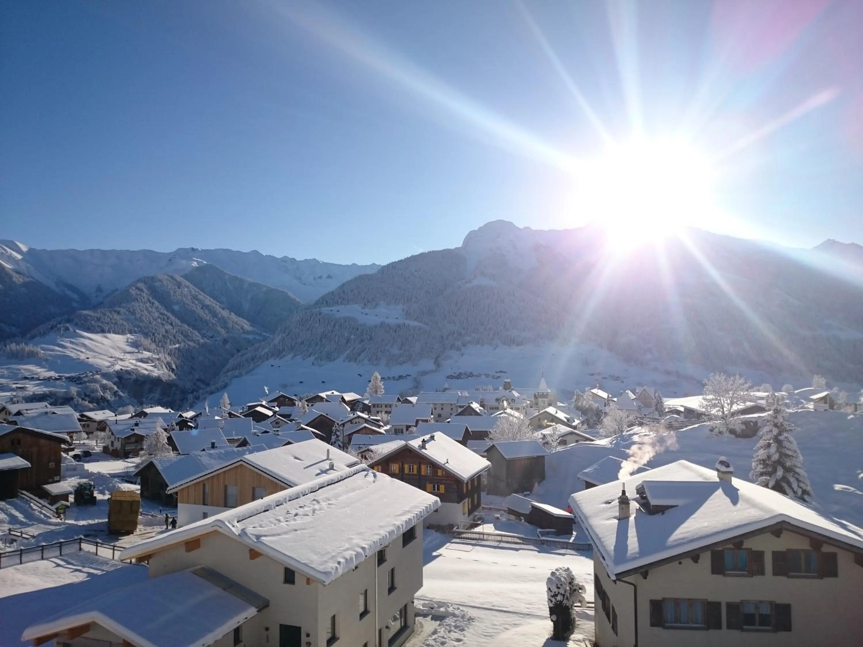 Logo/Certificate/Sign in Hotel Gravas Lodge - Das Hotel für Gäste mit Hund
