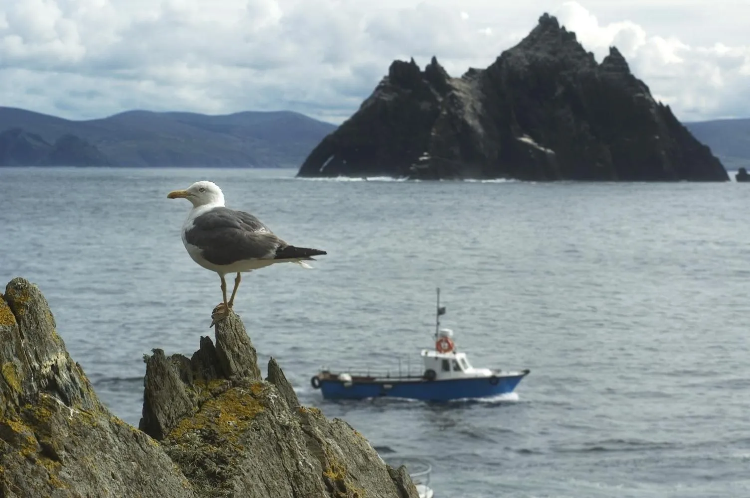 Nearby landmark in Abbey Lodge