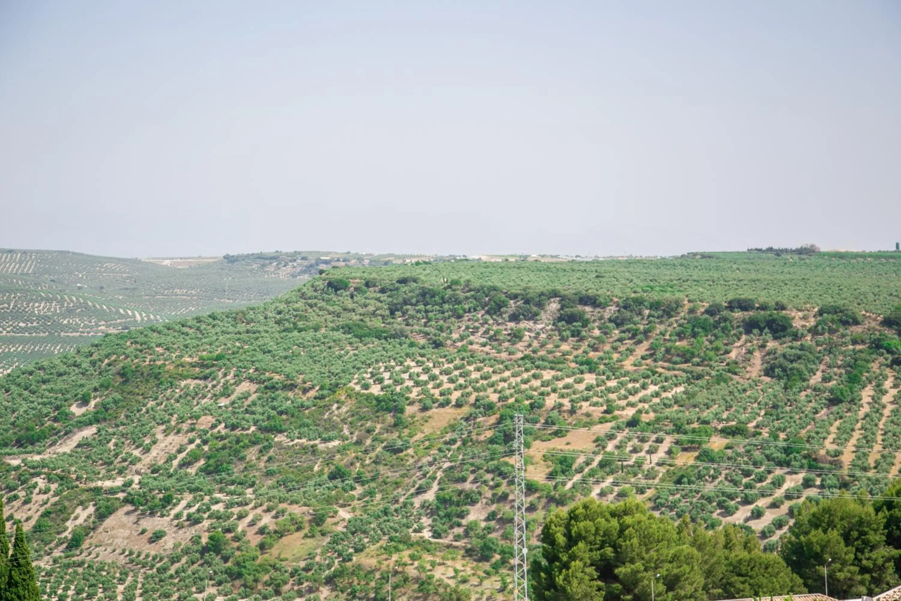Apartamentos Turísticos La Casa Vieja