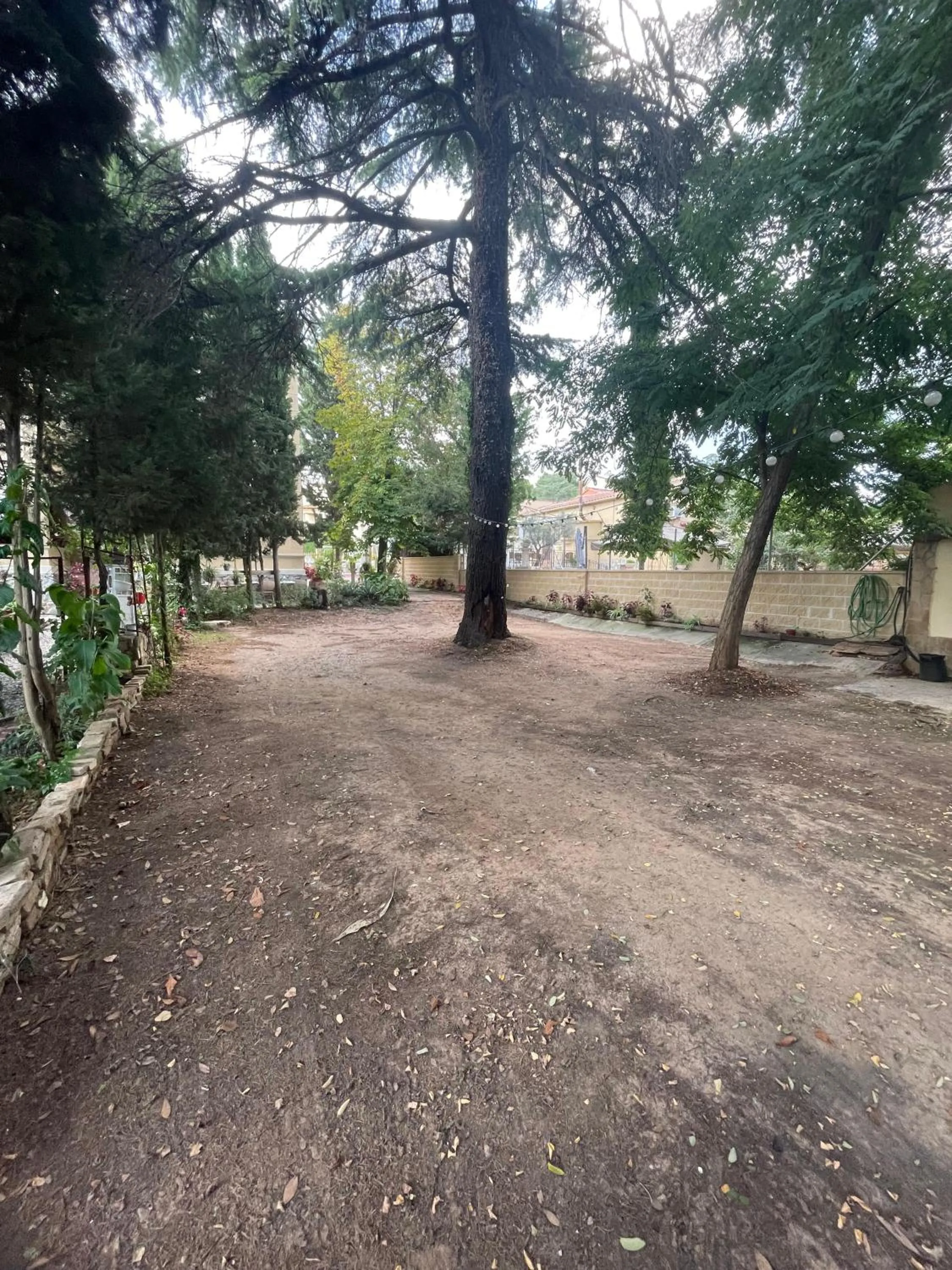 Garden in Hotel Torre Barcelona