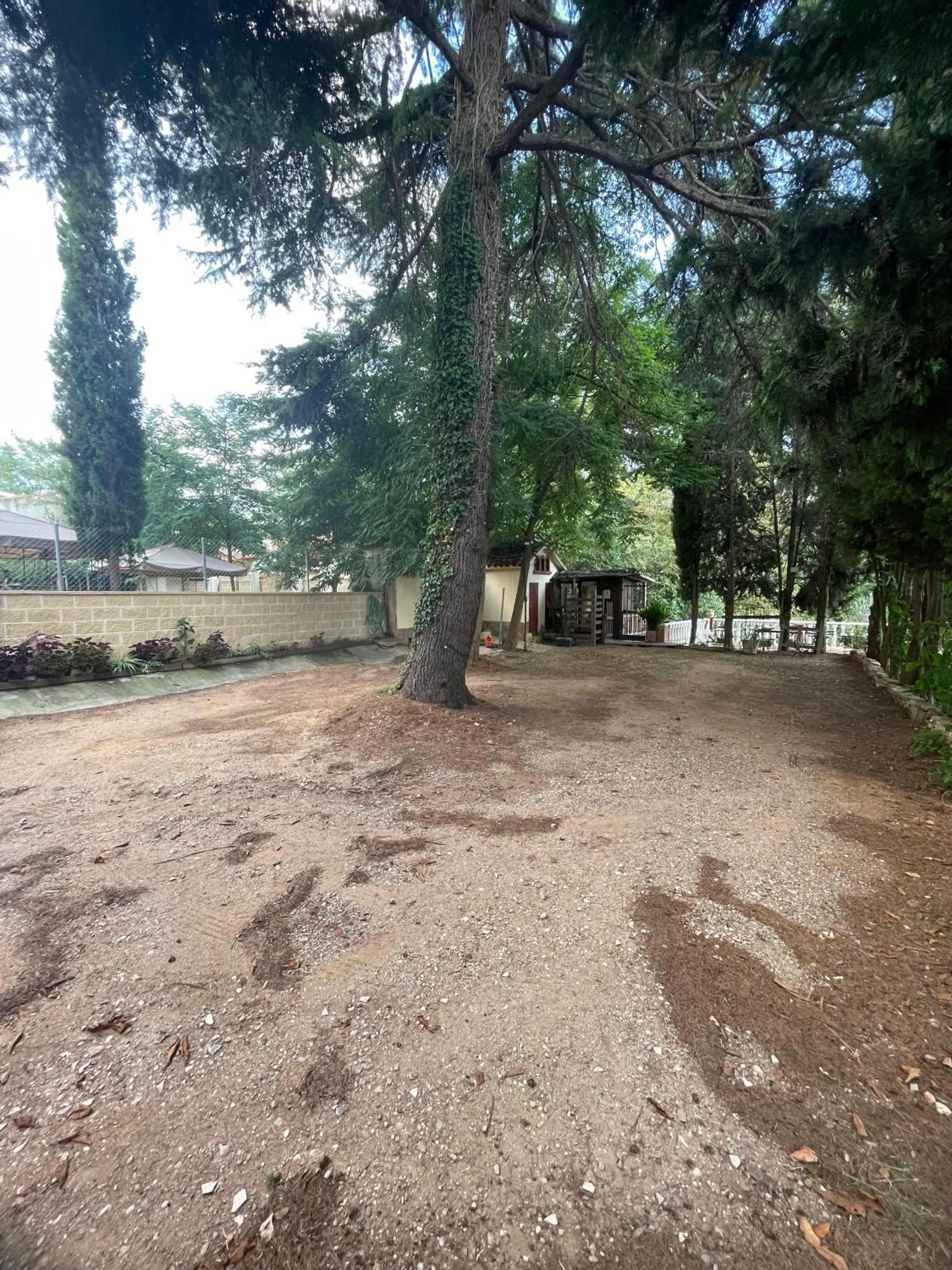 Natural landscape in Hotel Torre Barcelona