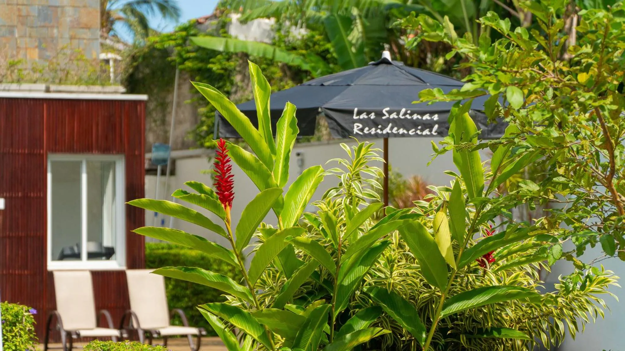 Garden in Residencial Las Salinas