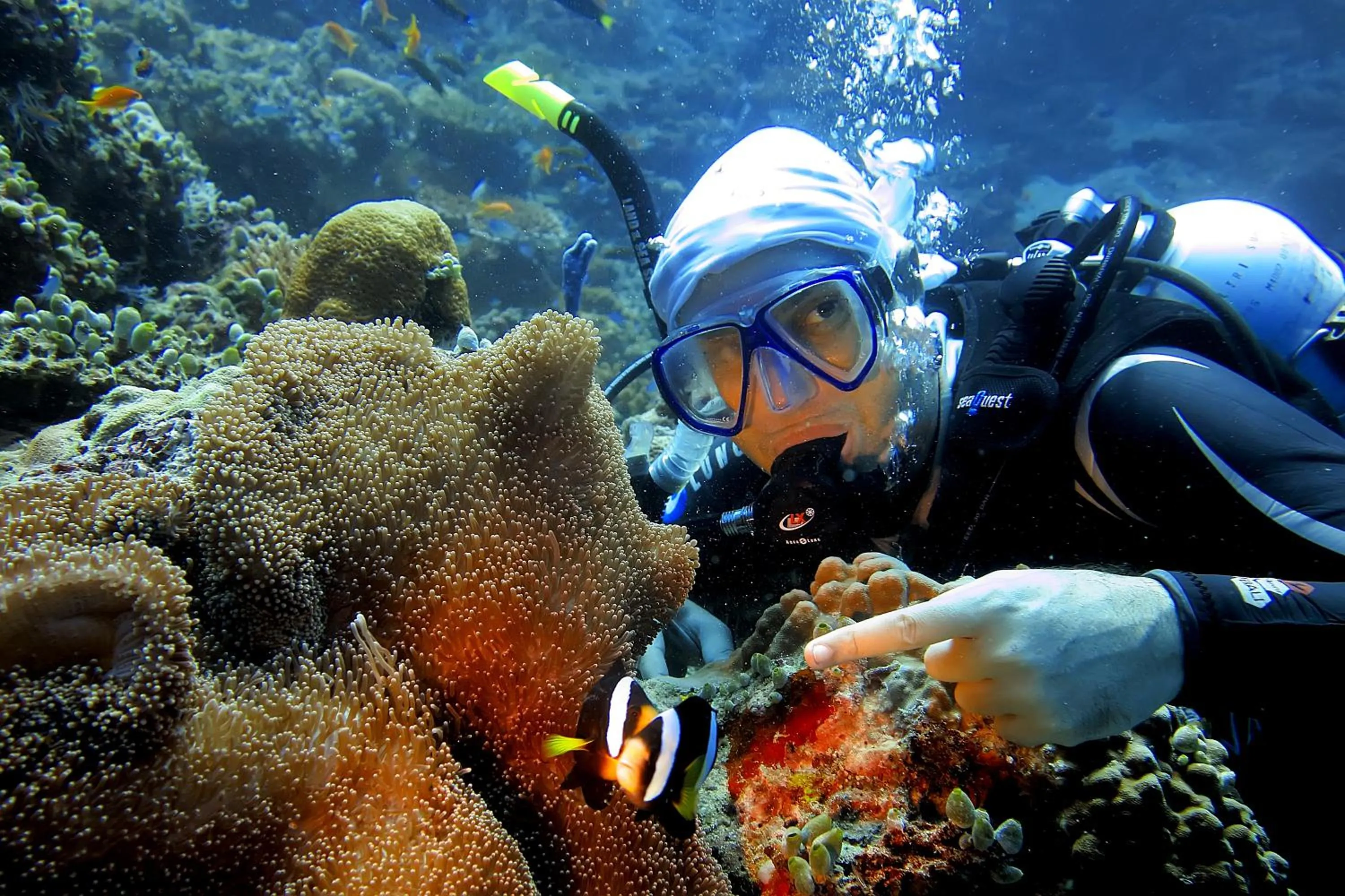 Snorkeling in Stingray Beach Inn