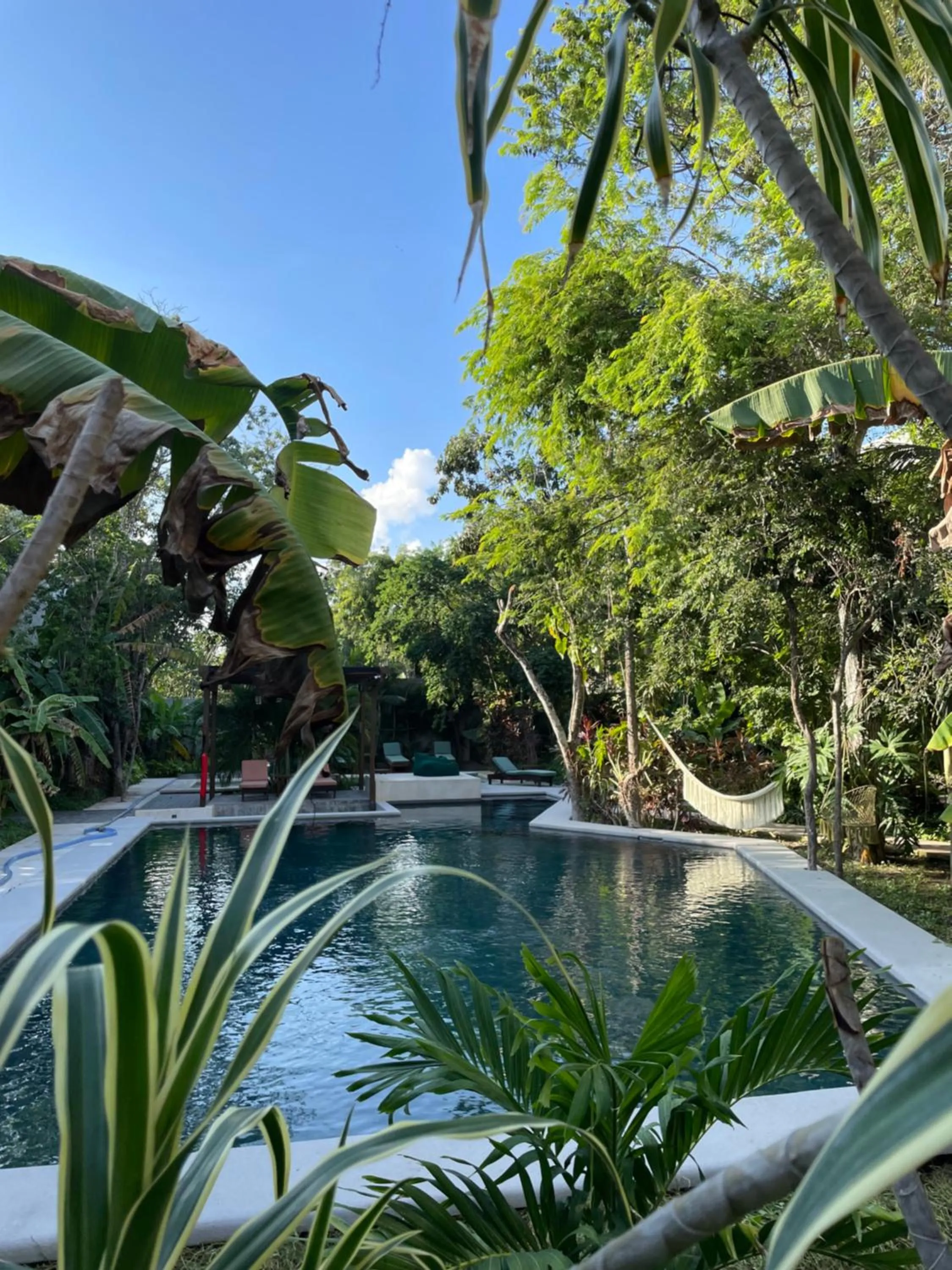 Pool view in Panacea Condo Tulum
