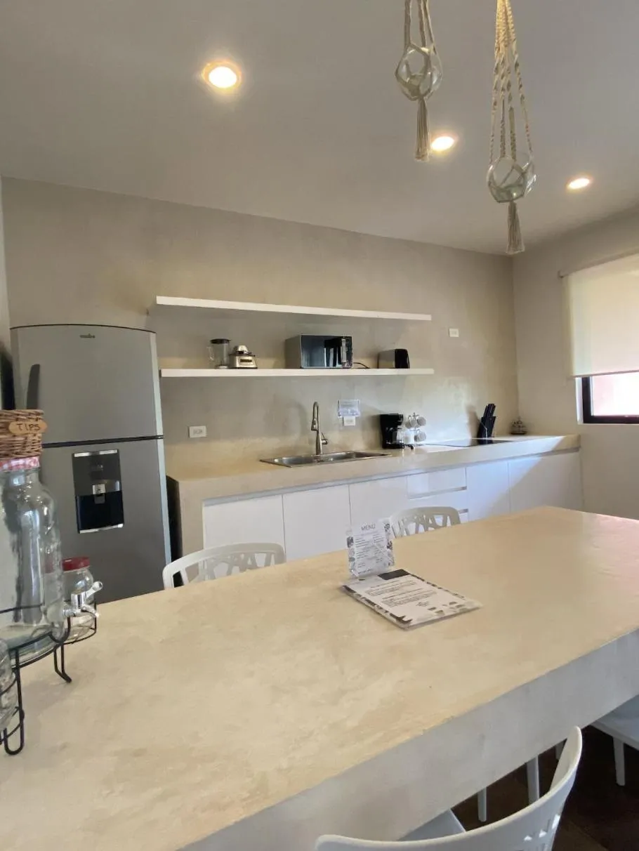 Kitchen or kitchenette in Panacea Condo Tulum