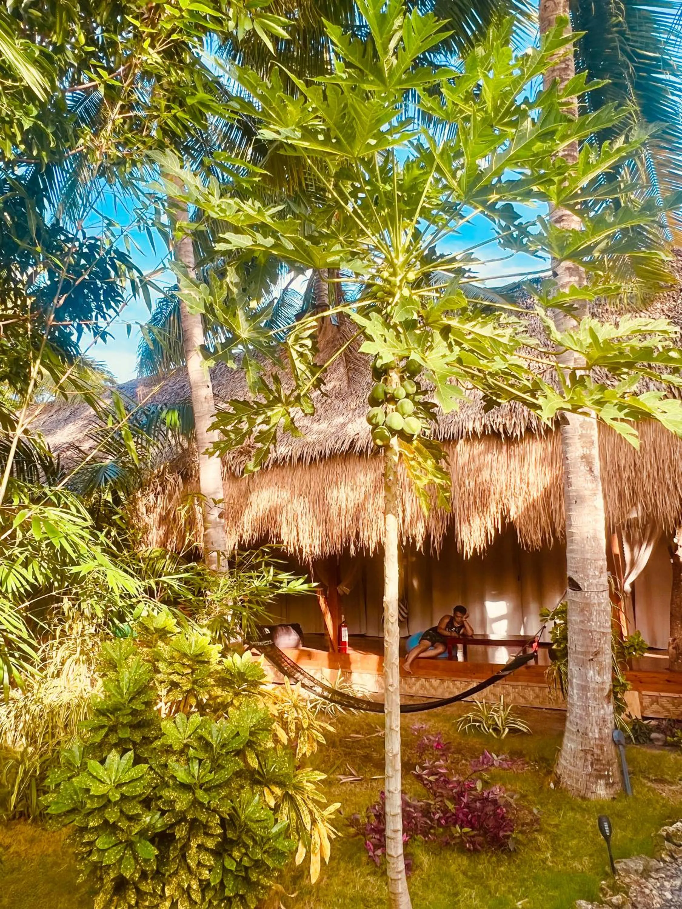 Property building in Nautilus Hostel & Hammocks
