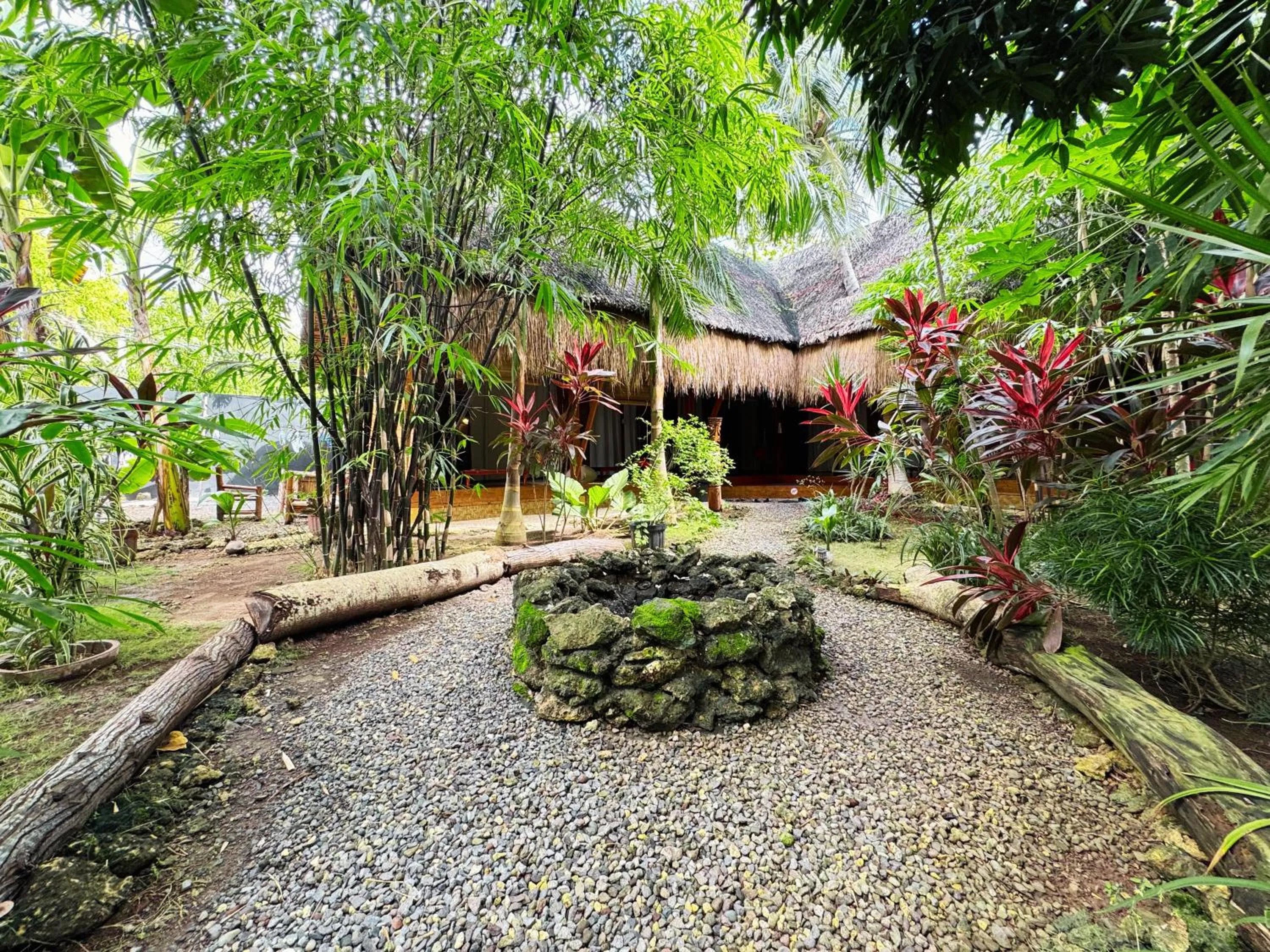 Garden in Nautilus Hostel & Hammocks