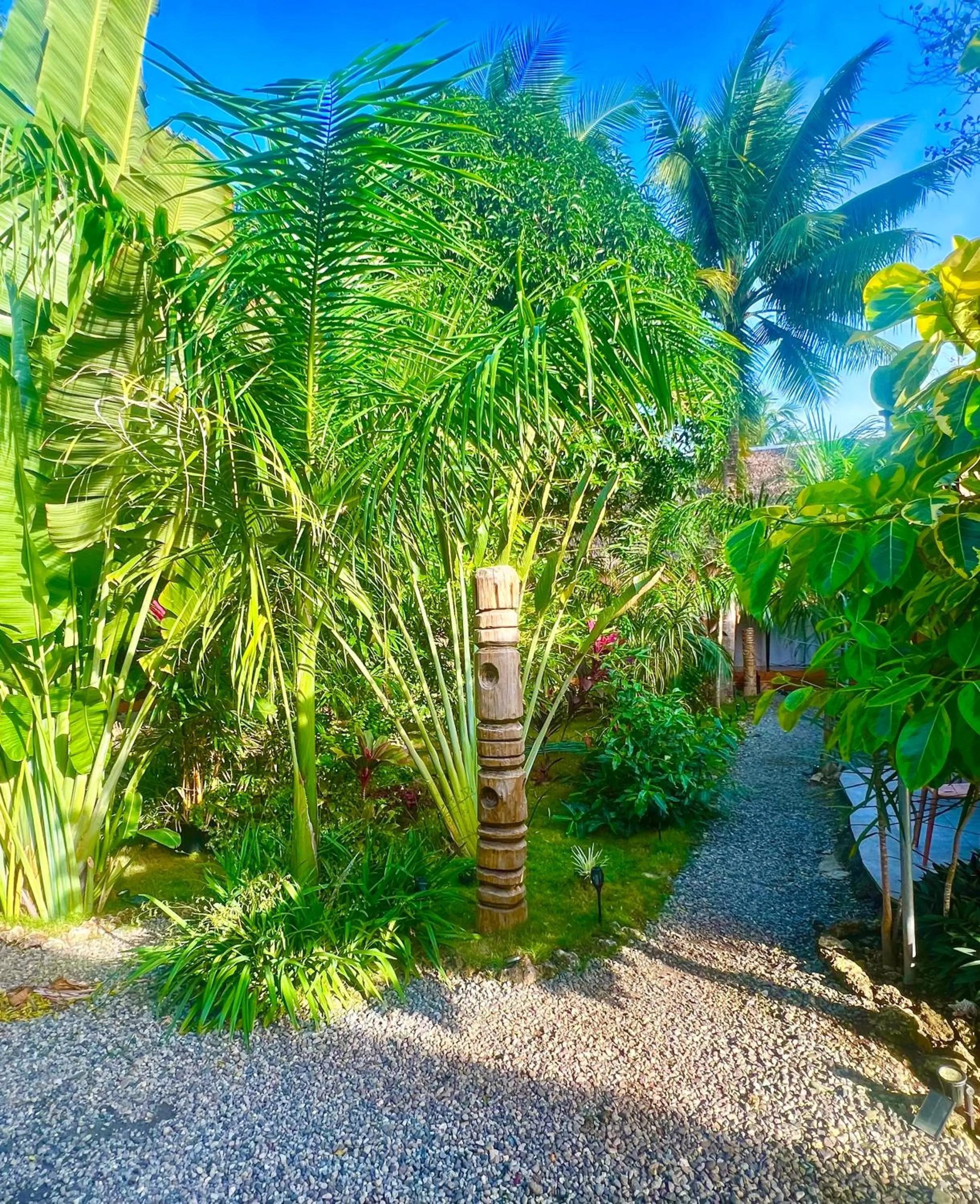 Garden view in Nautilus Hostel & Hammocks