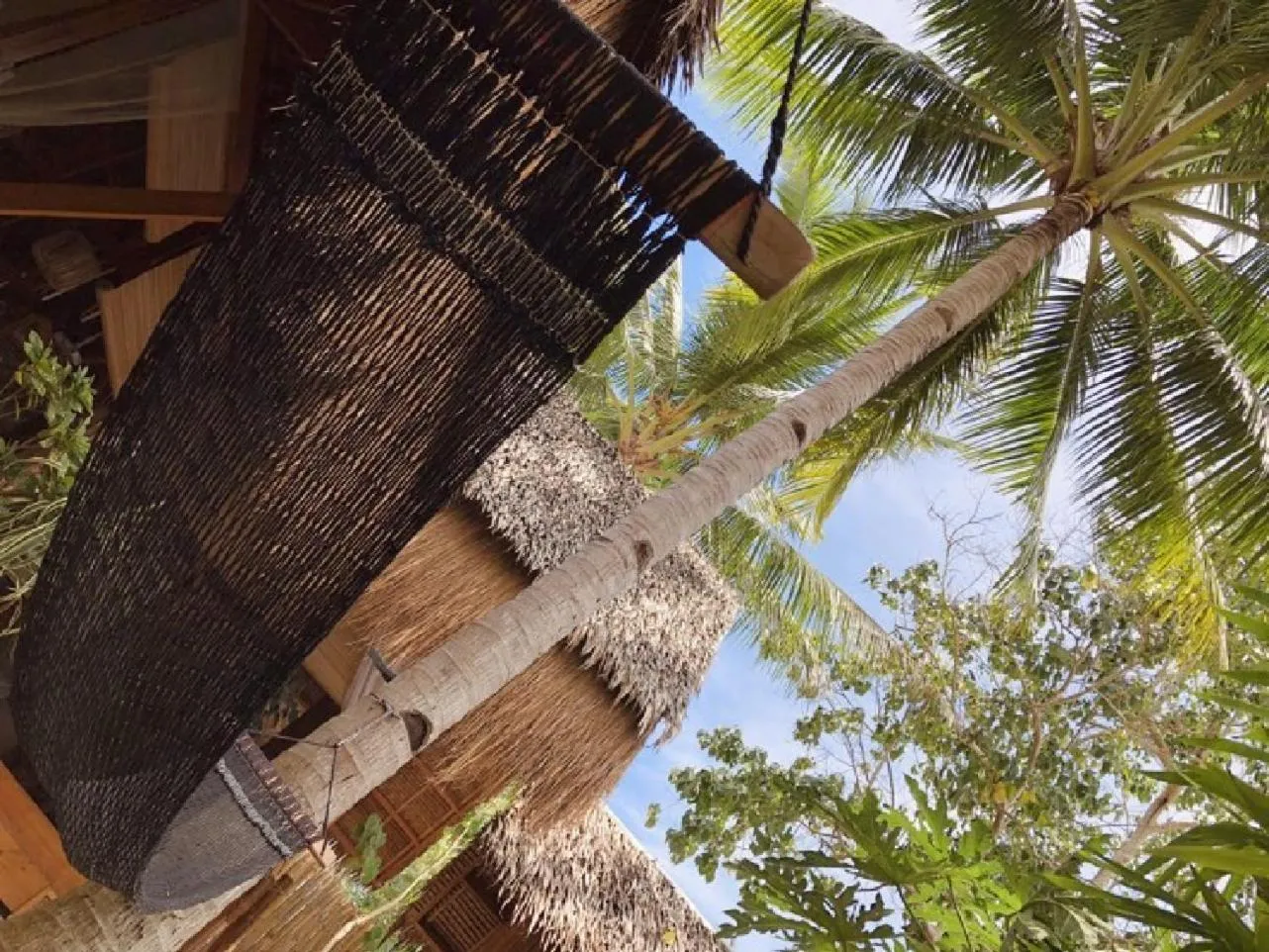 Garden in Nautilus Hostel & Hammocks