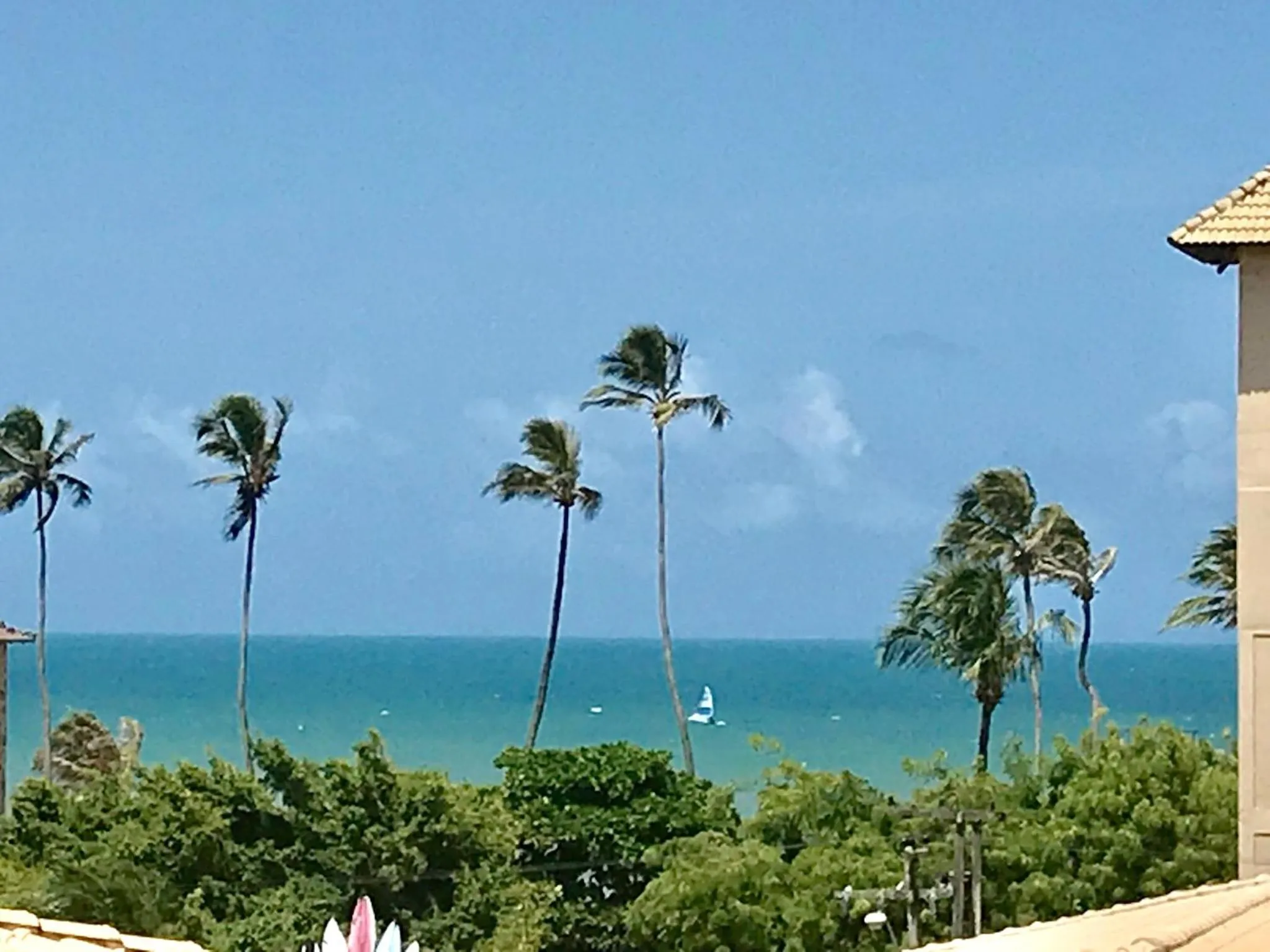 Natural landscape in Hotel e Pousada Tropical Wind do Cumbuco