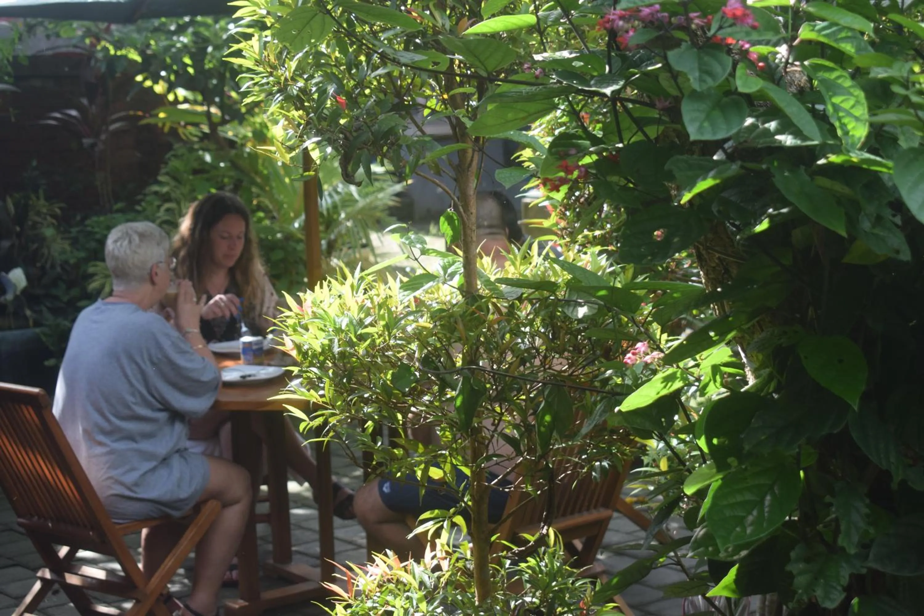 Restaurant/places to eat in Werkudara Guest House