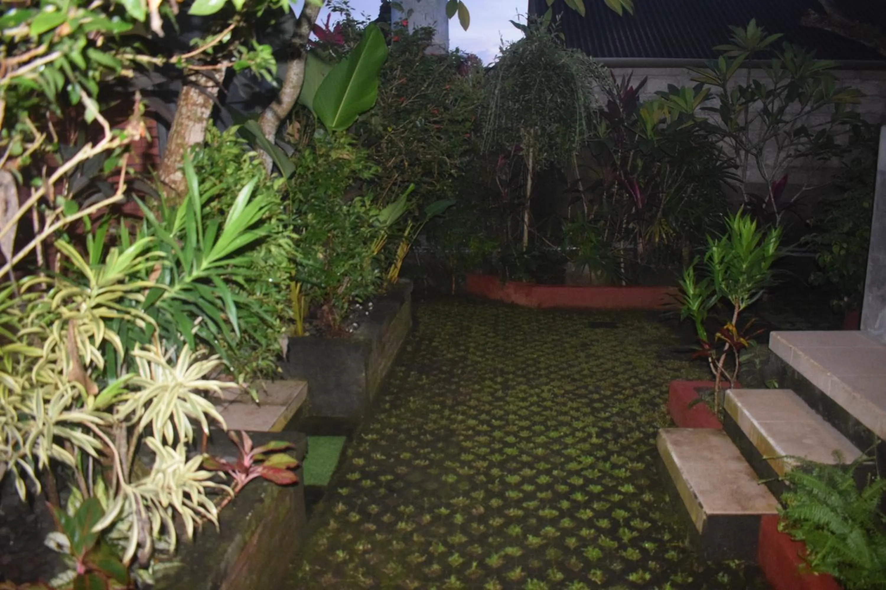 View (from property/room) in Werkudara Guest House