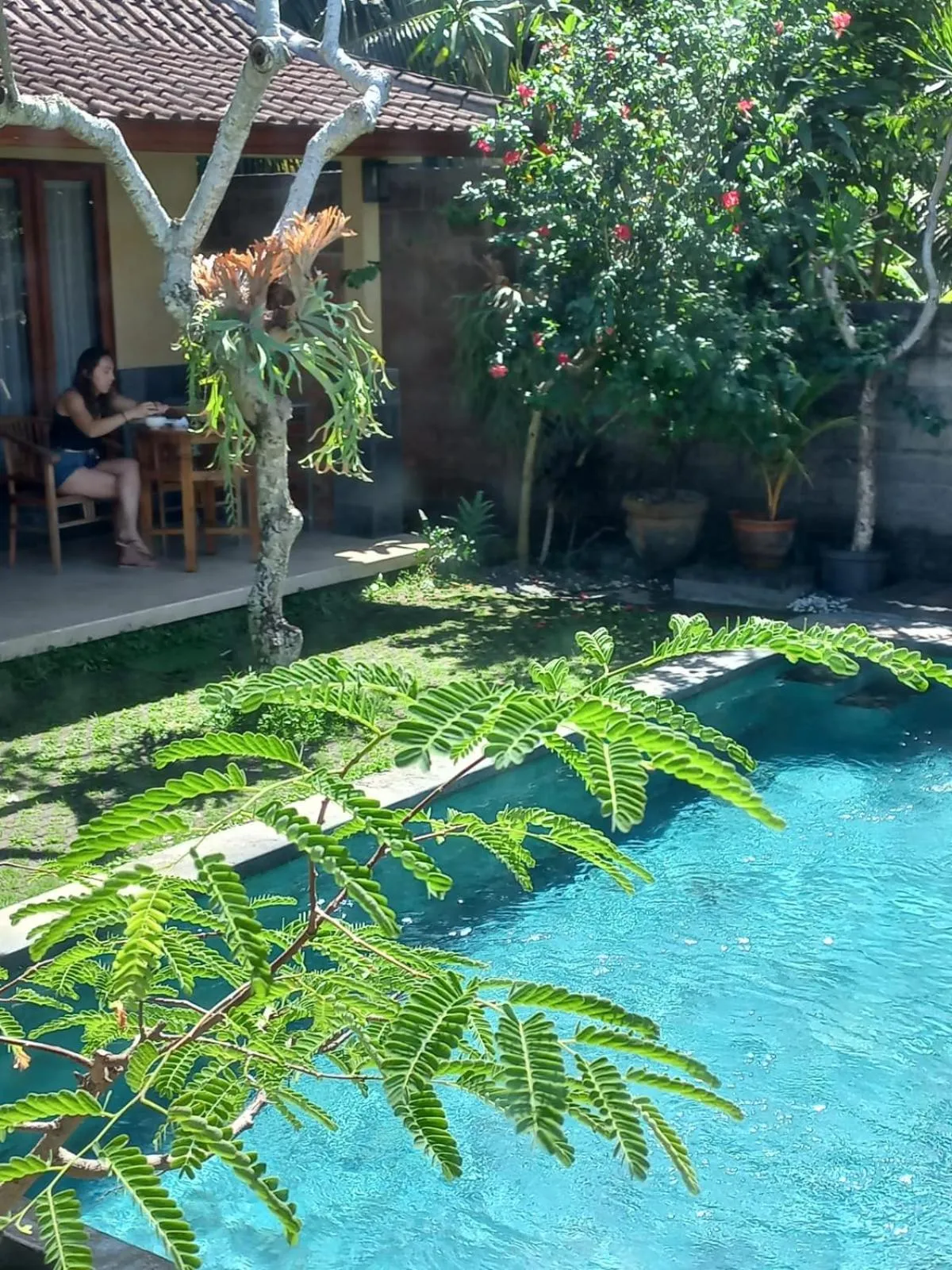 Day in Werkudara Guest House