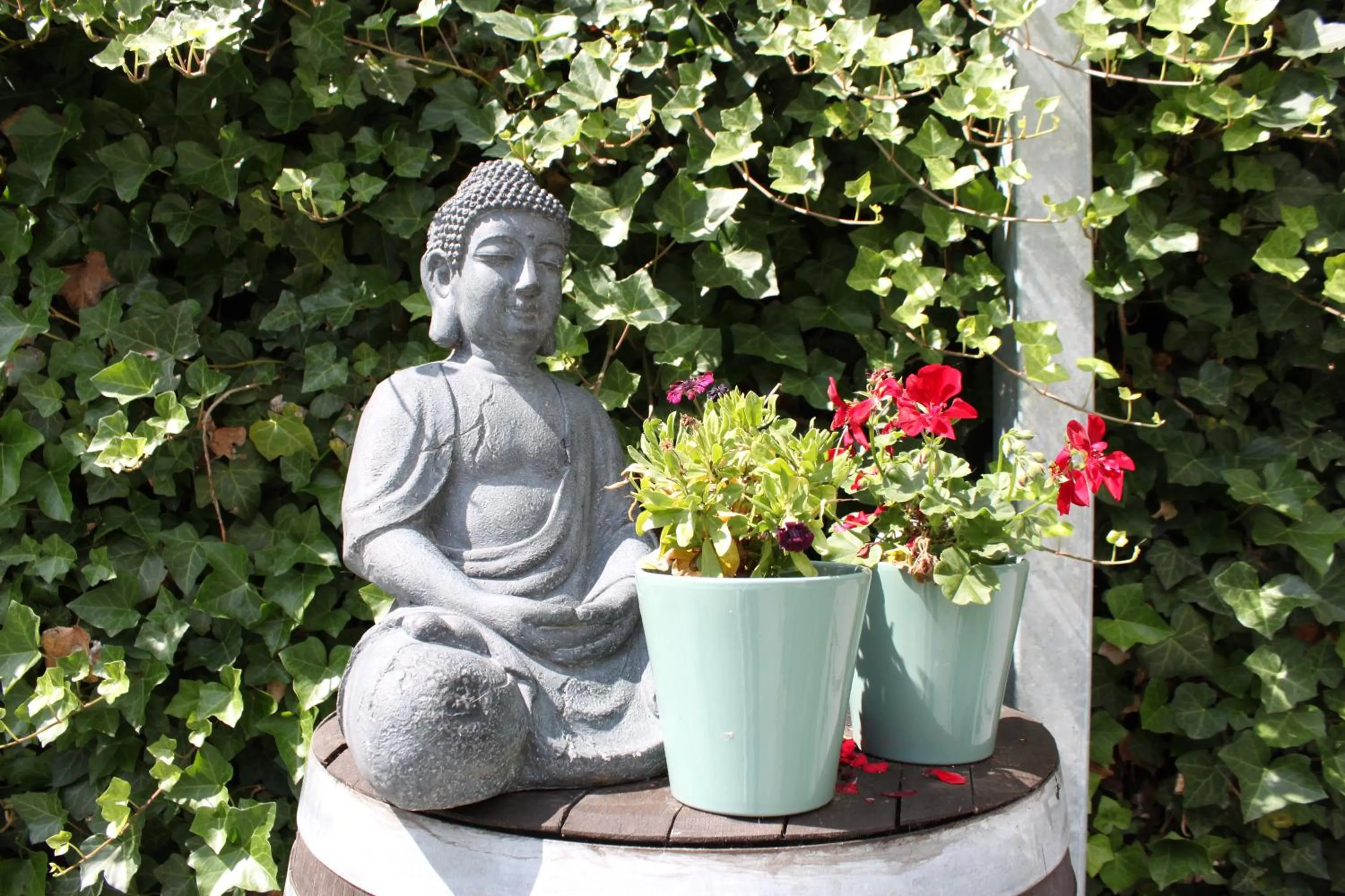 Garden in Rene's B&B