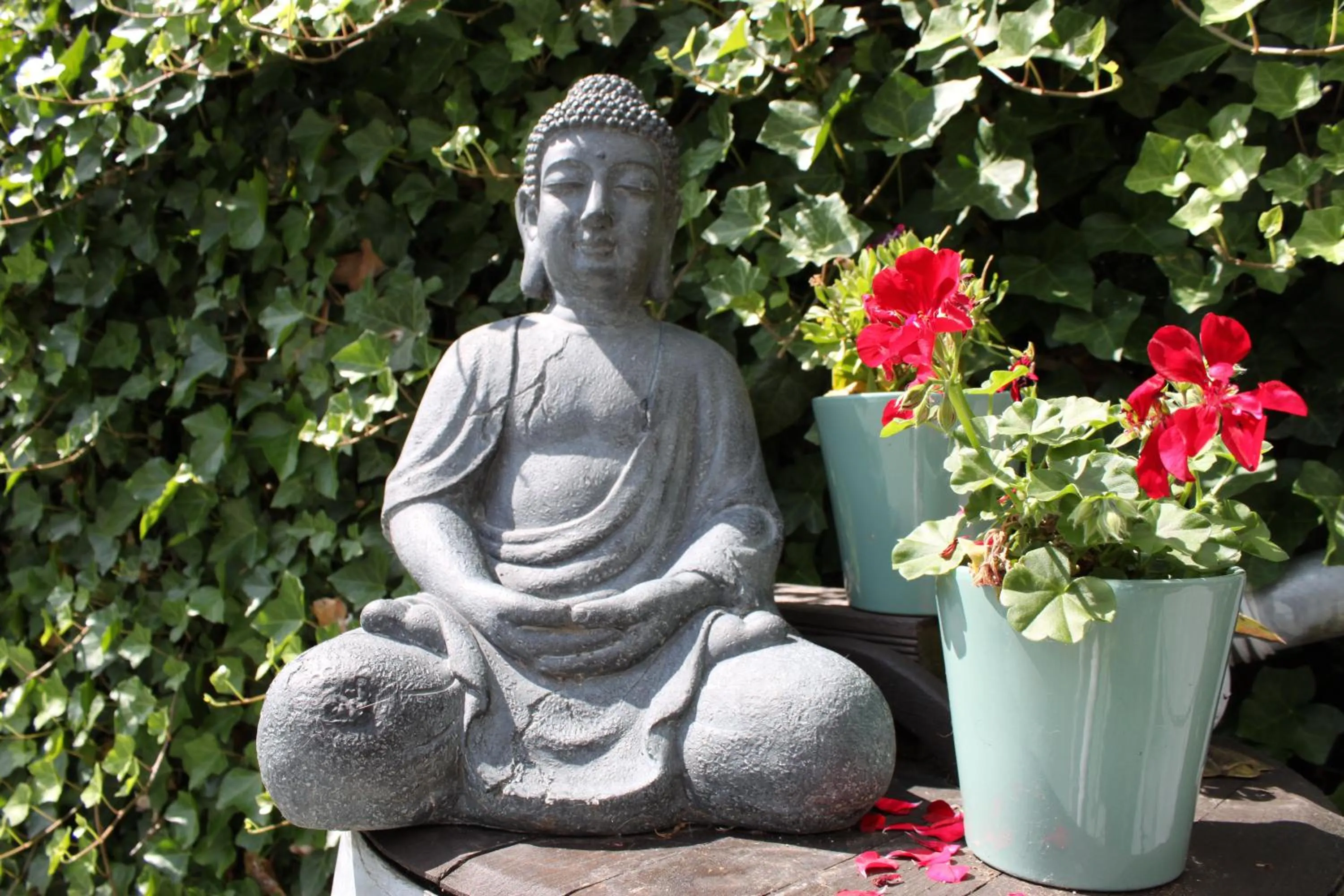 Balcony/Terrace in Rene's B&B