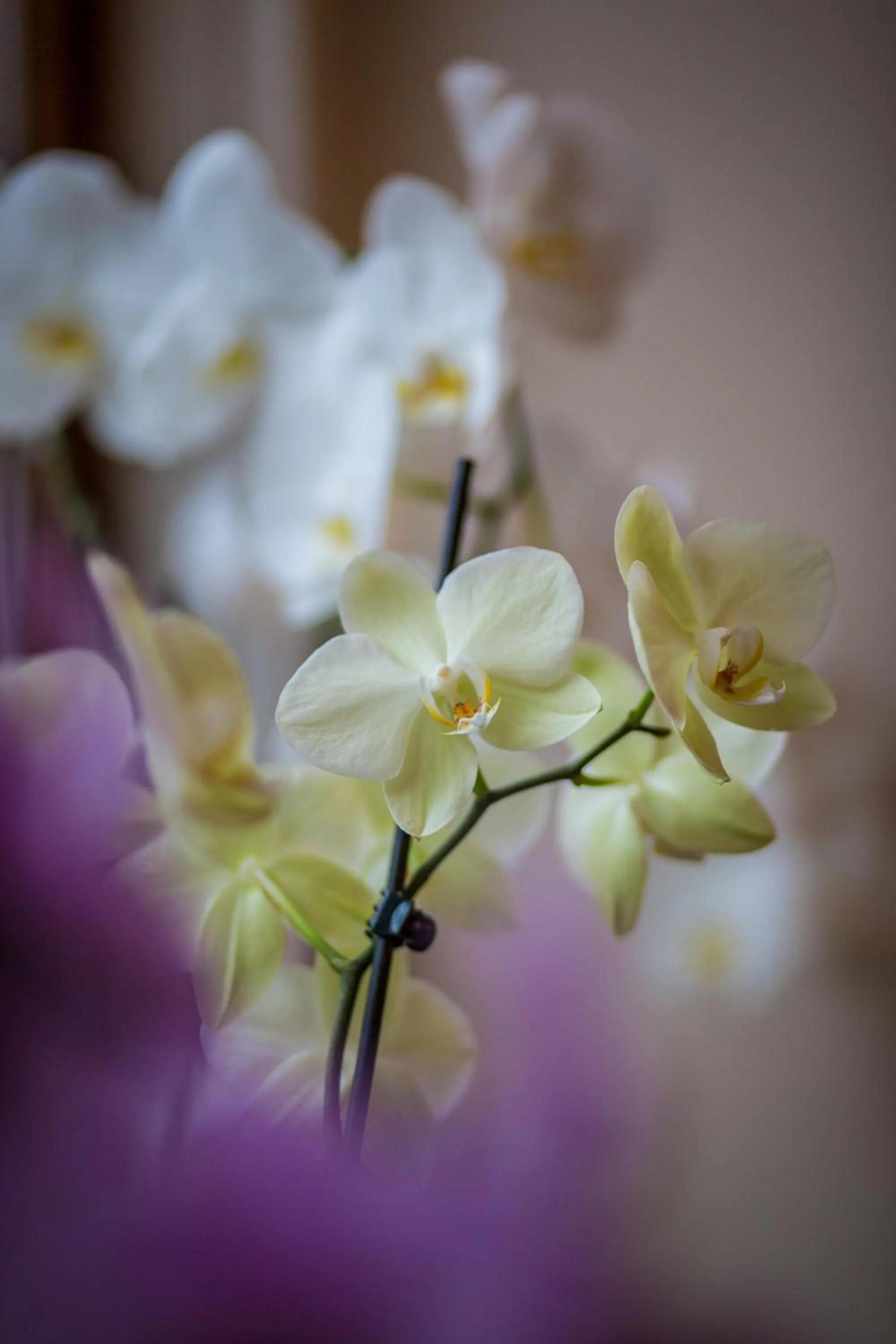 Decorative detail in Rene's B&B