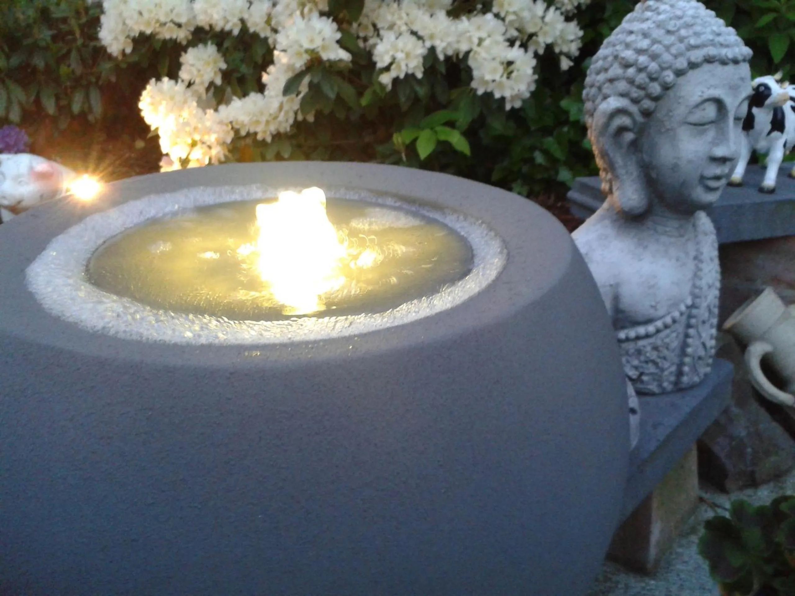 Garden in Rene's B&B