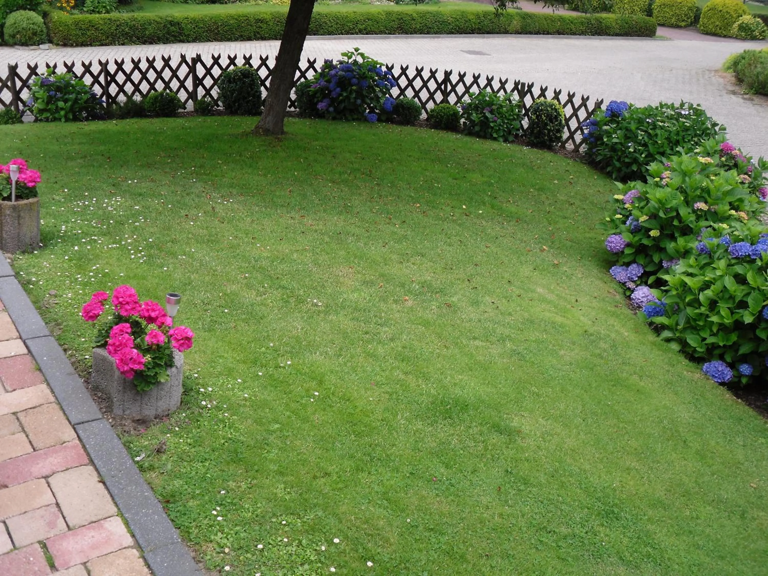 Garden in Rene's B&B