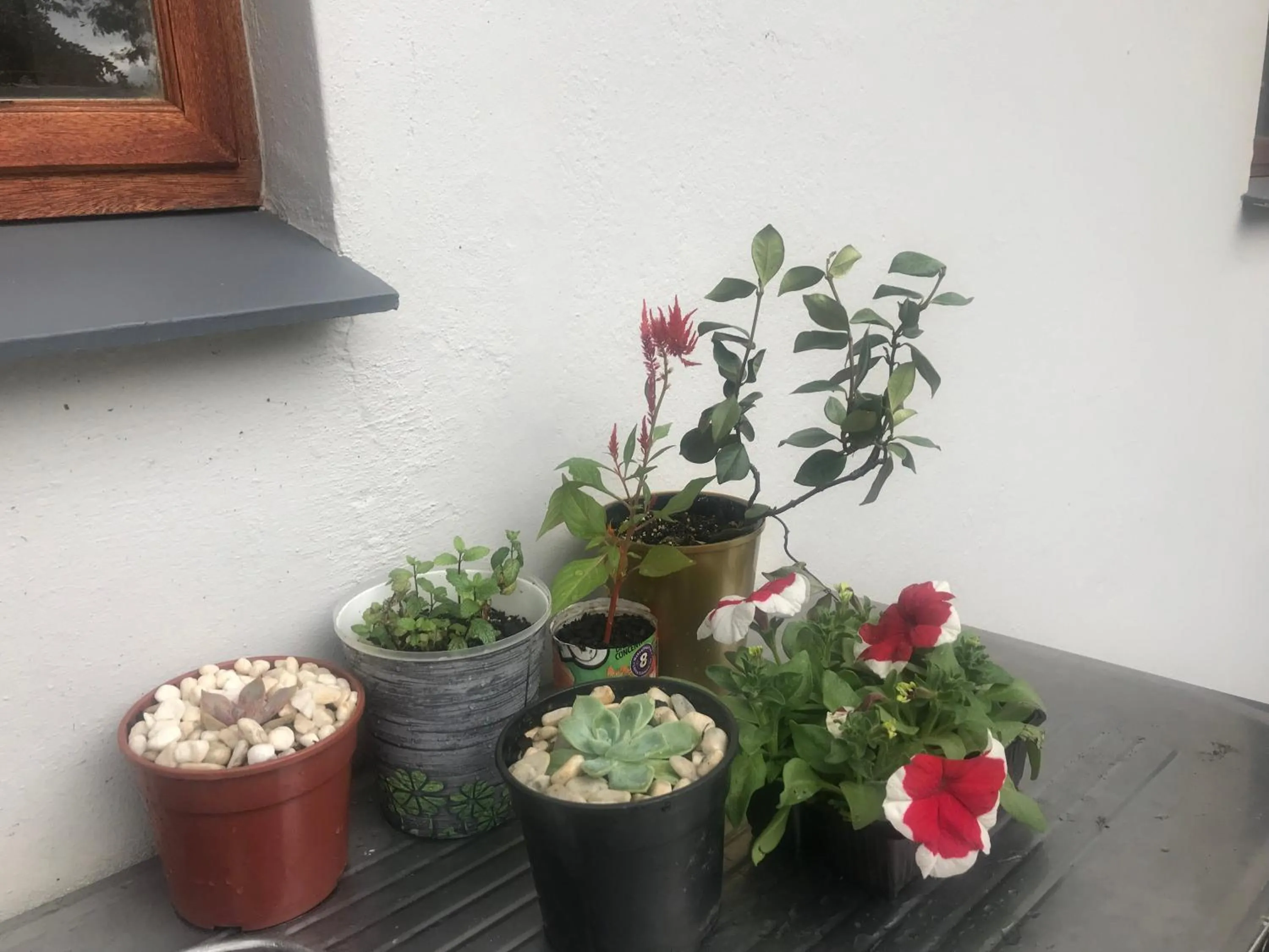 Decorative detail in Bokamoso Views