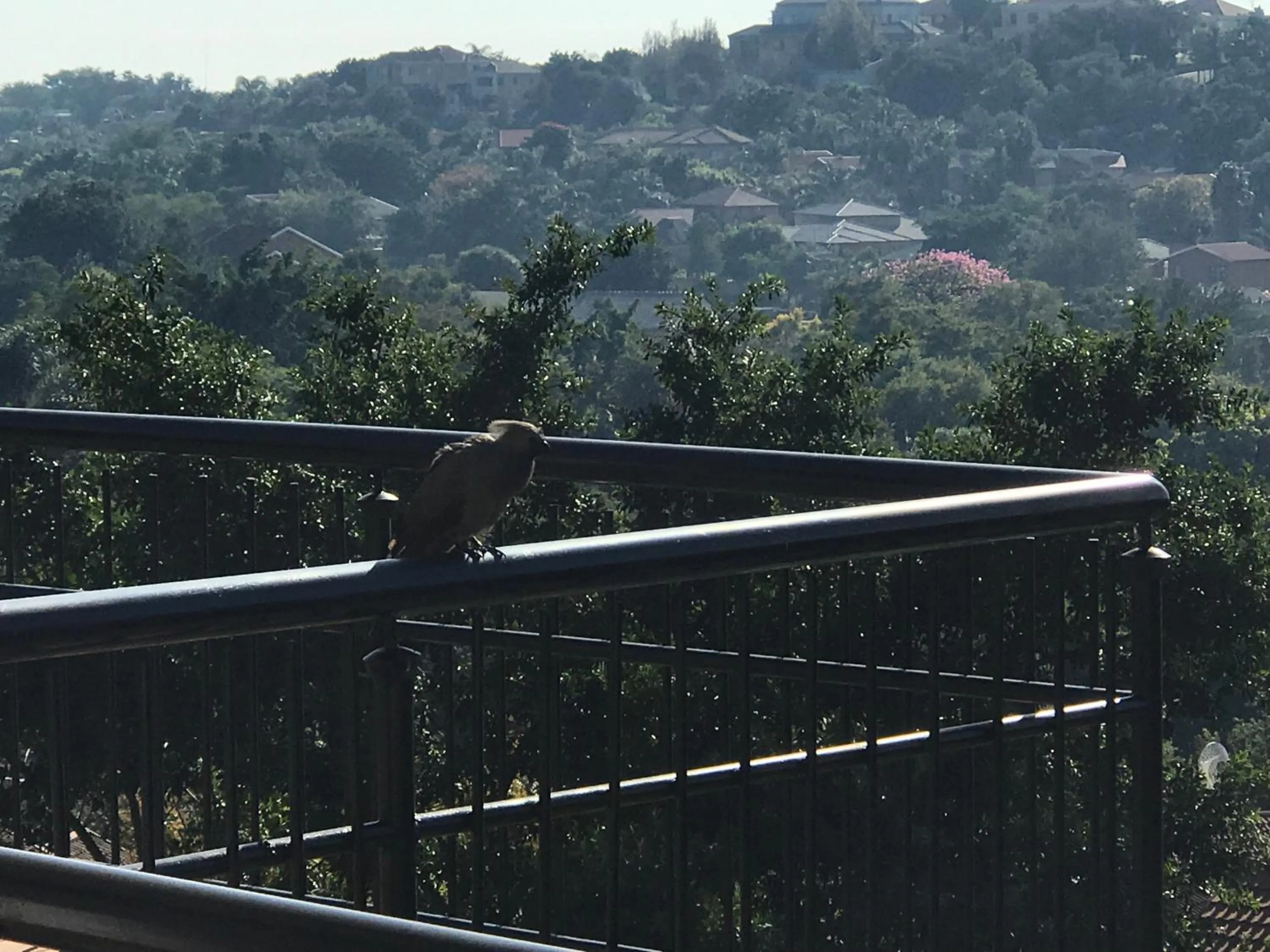 Property building in Bokamoso Views